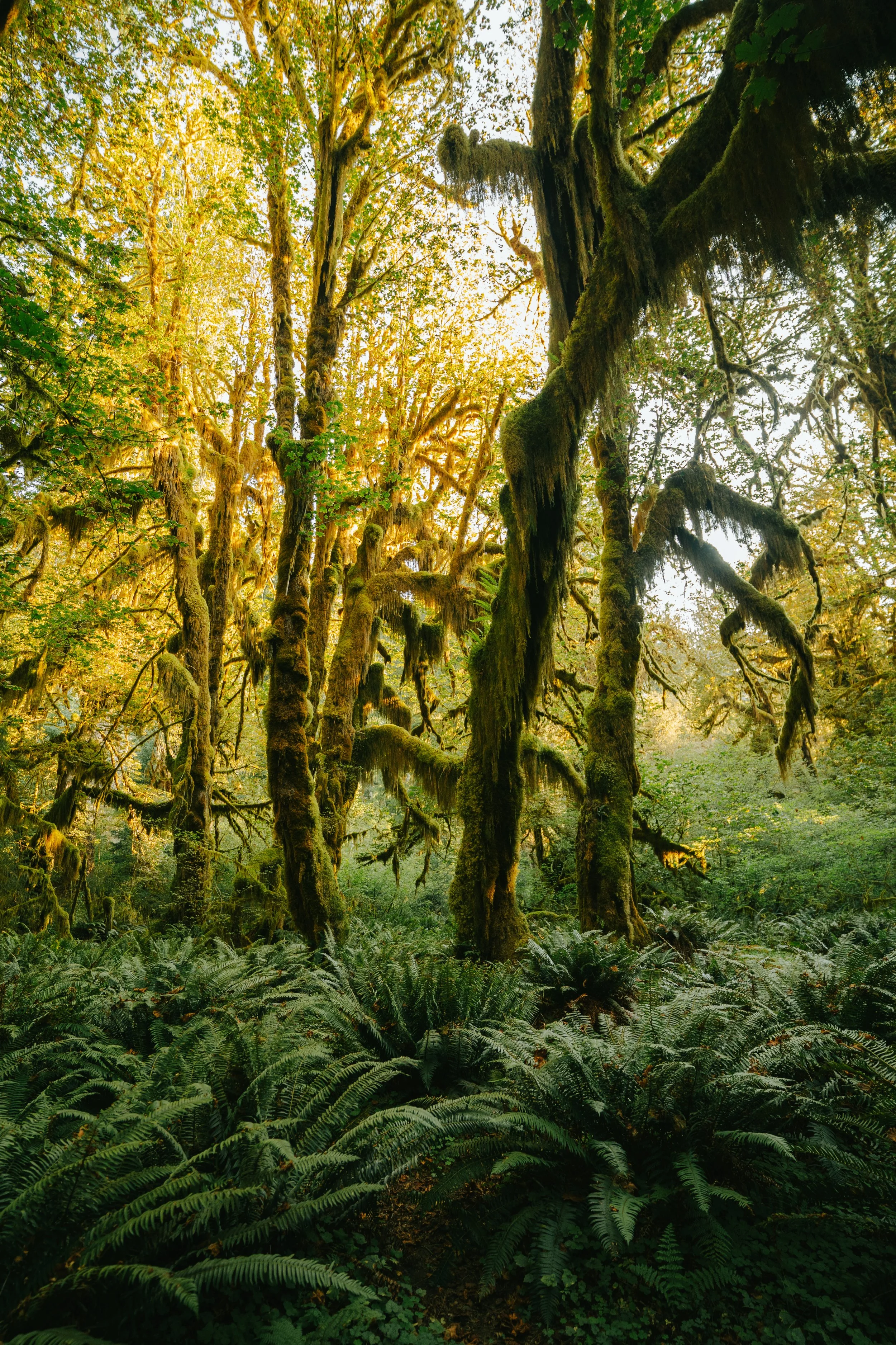 washington-28.jpg