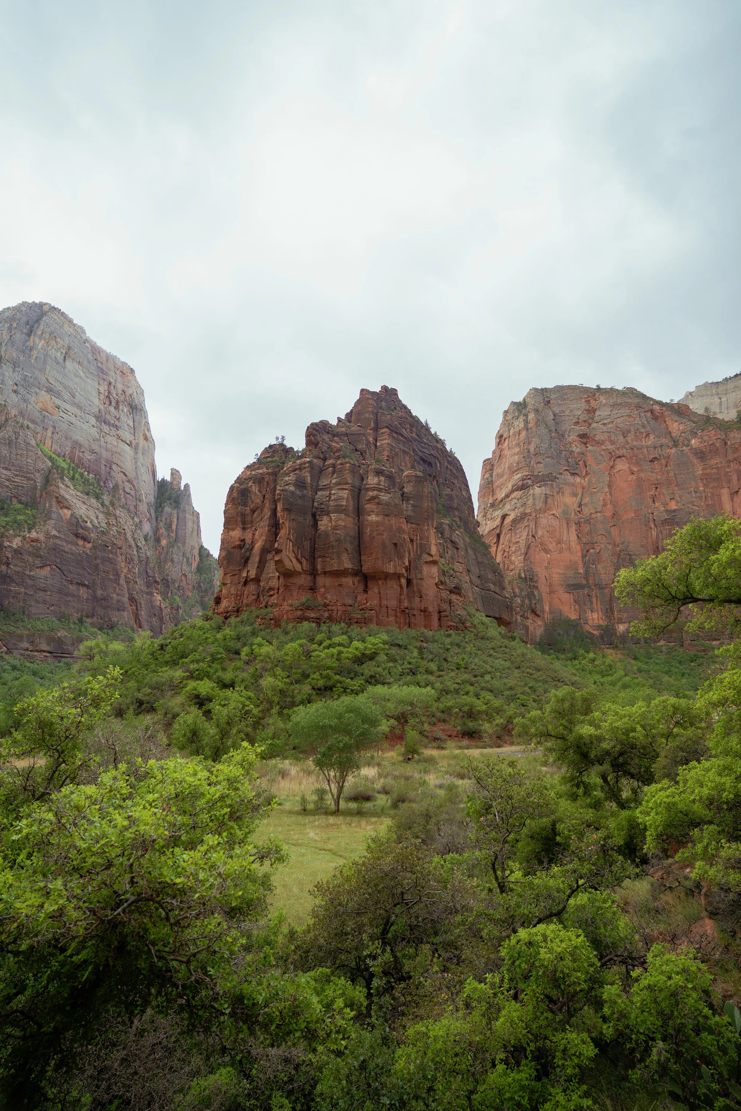 Zion National Park - Framed Photo Print
