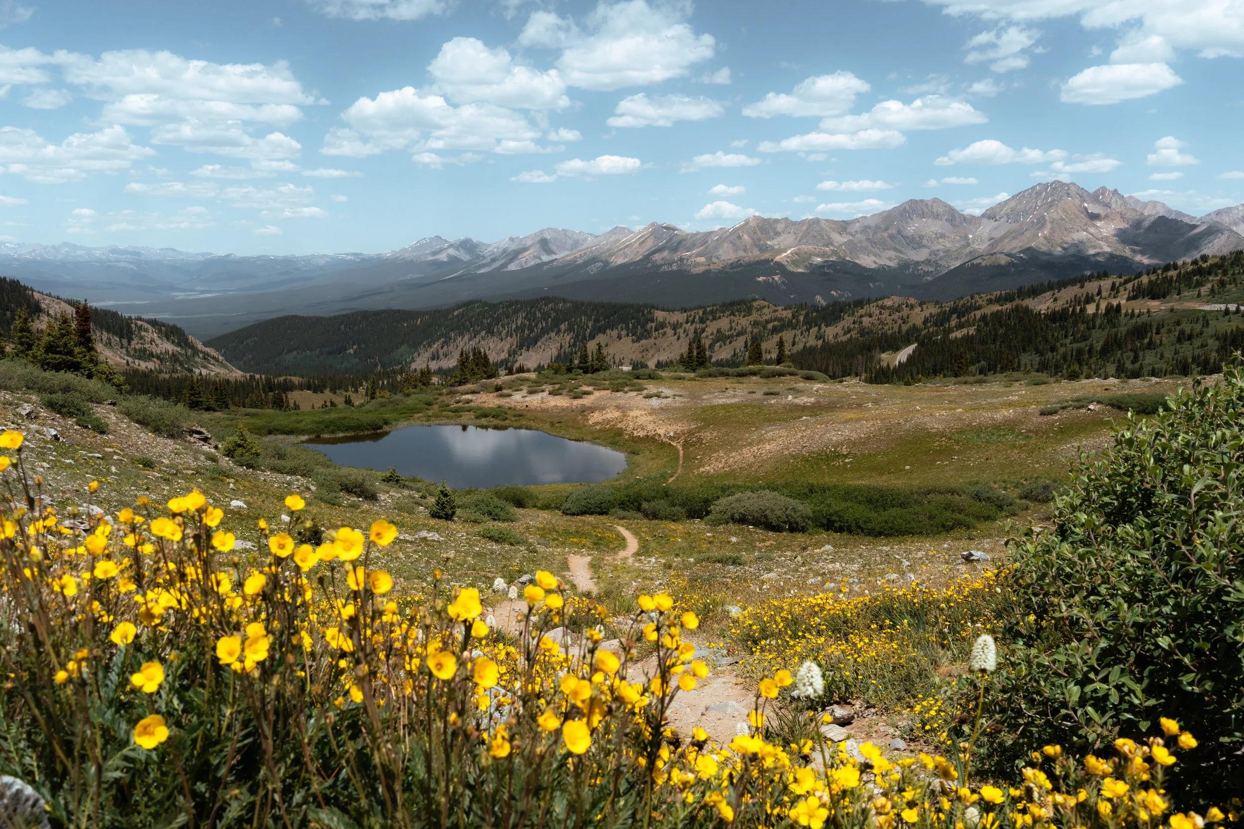 Cottonwood Pass, Colorado - Framed Photo Print