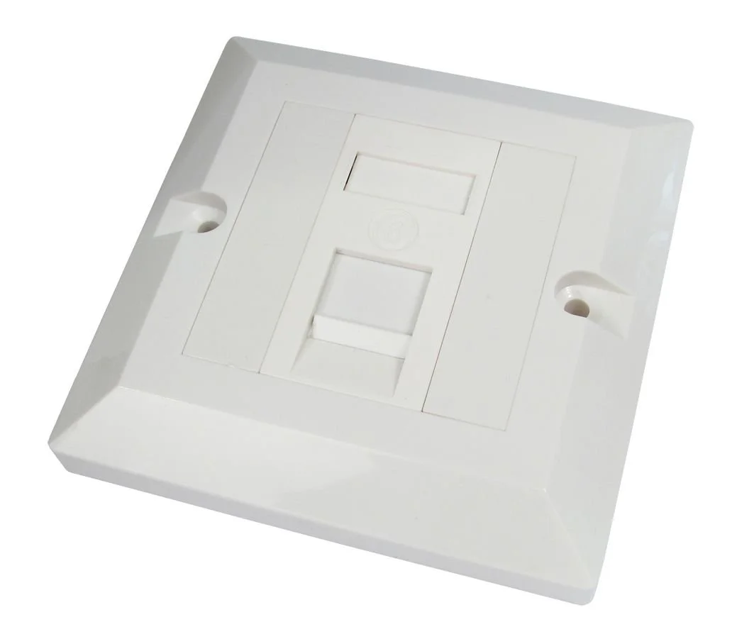 cat6-UT-899041.jpg
