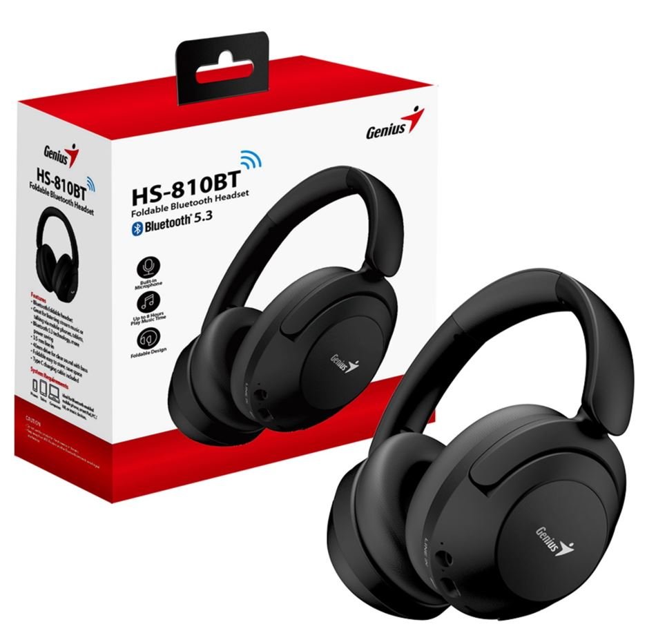 hs810.jpg