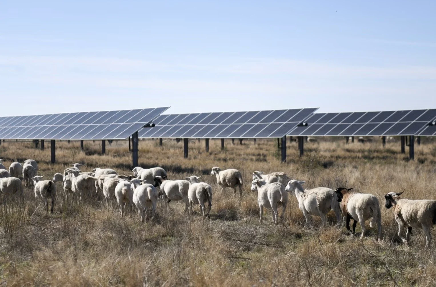 Electricity costs expected to hit record high this summer, new analysis finds