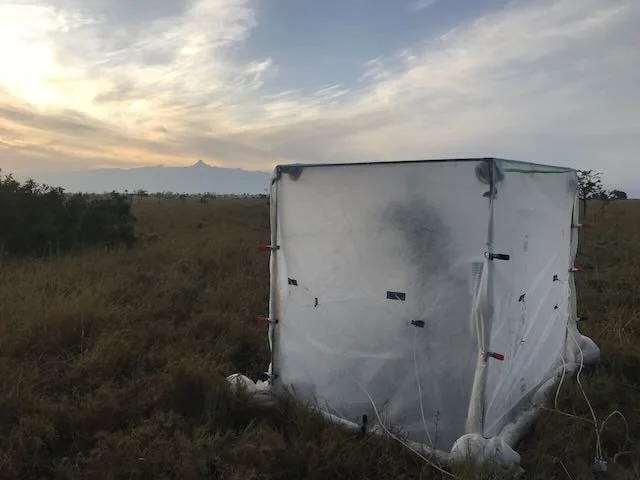 New paper out in Plant Ecology