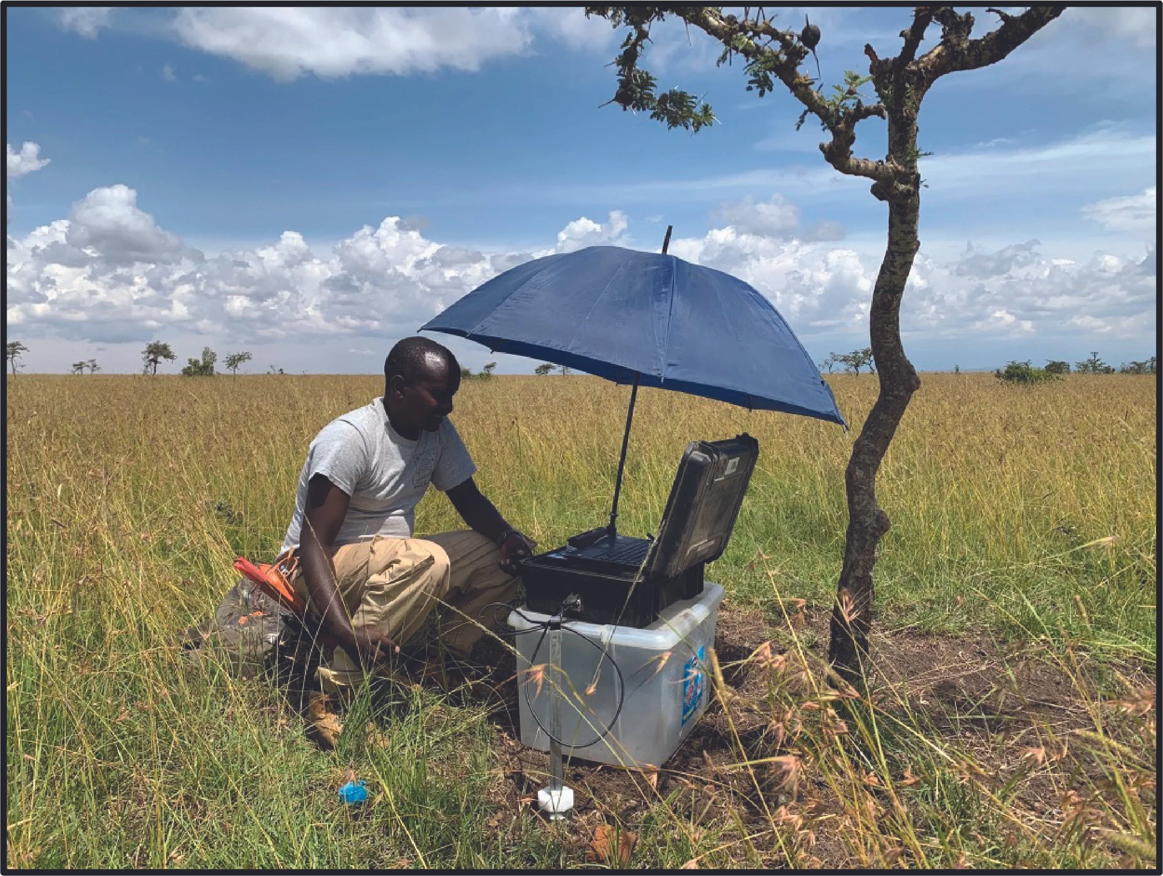 New paper addresses the impacts of mutualism and global change on fine roots