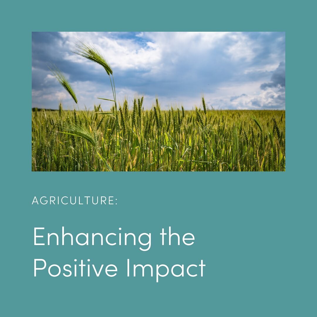 Agriculture can positively impact the environment by trapping greenhouse gases within crops and soils or mitigating flood risks through the adoption of certain farming practices.  Growers working together to create synergies in crop production will h