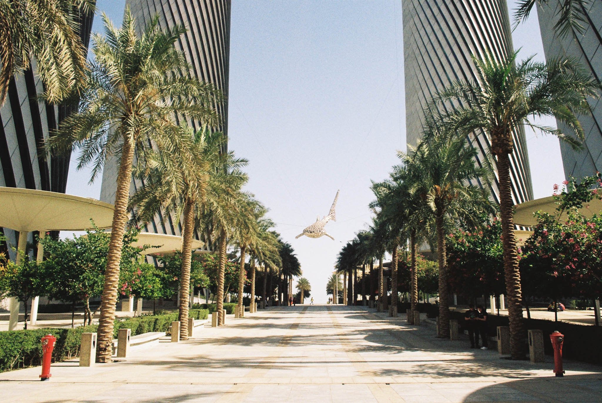 R1-08460-0018-2.jpg
