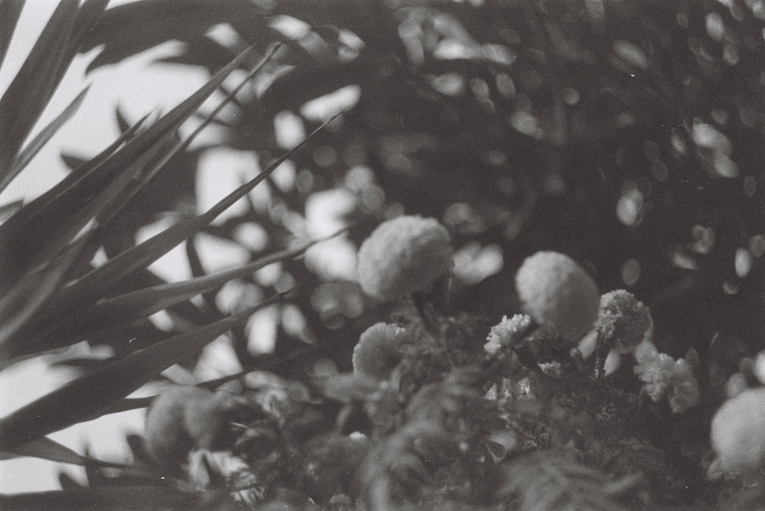 AA002198-R1-01-2.jpg