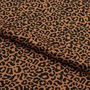 toasty leopard