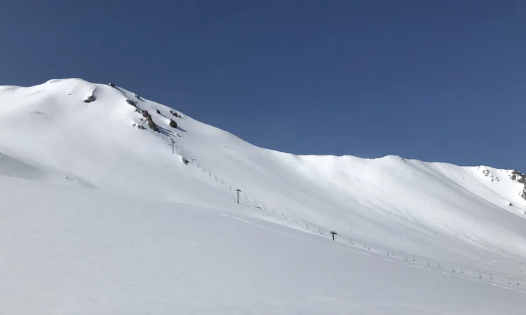 International Society for Snowsports Safety