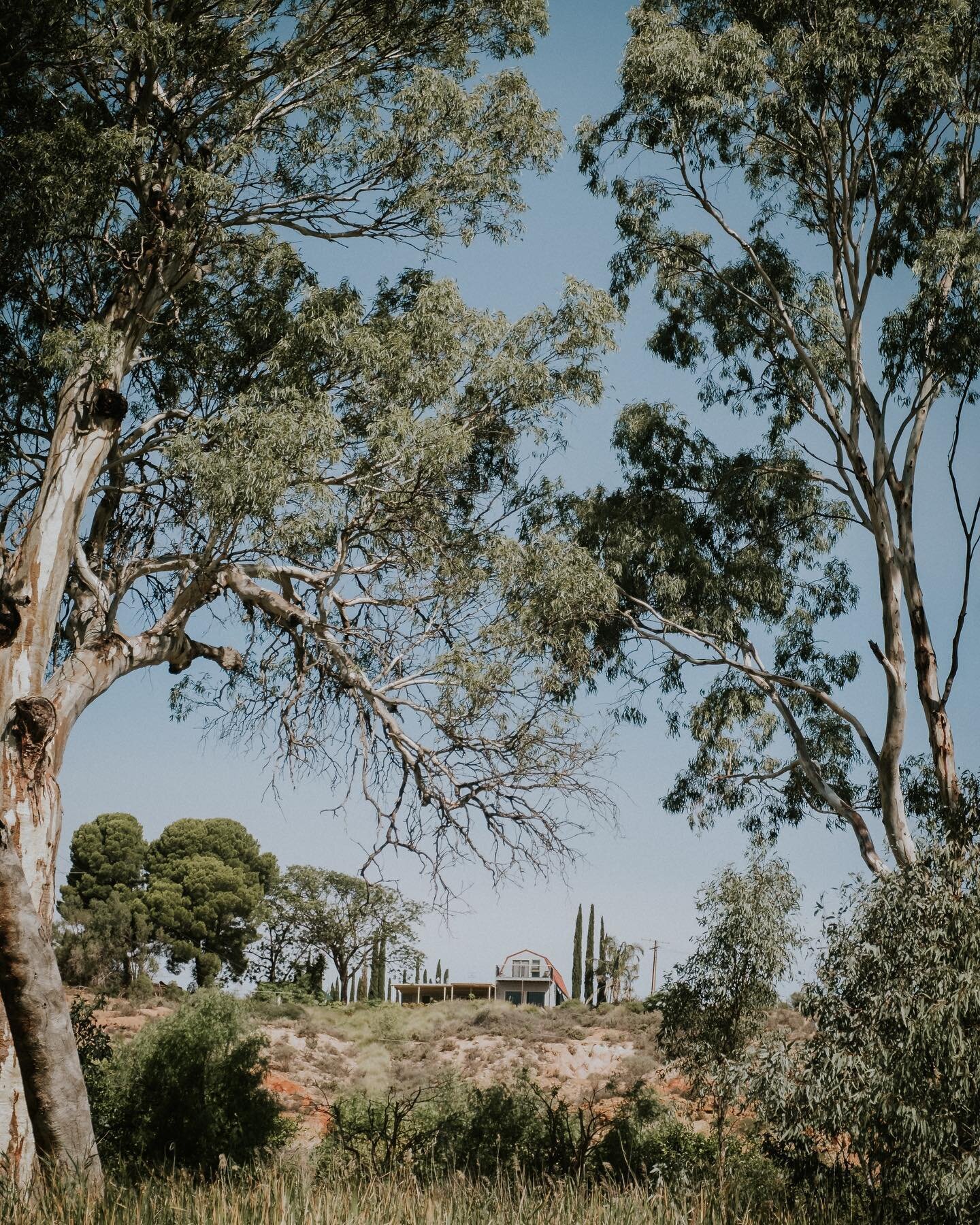 Little house on a hill.
.
.
.
.
.
#travelaustralia #travelphotography #riverlandsa #fujifilm