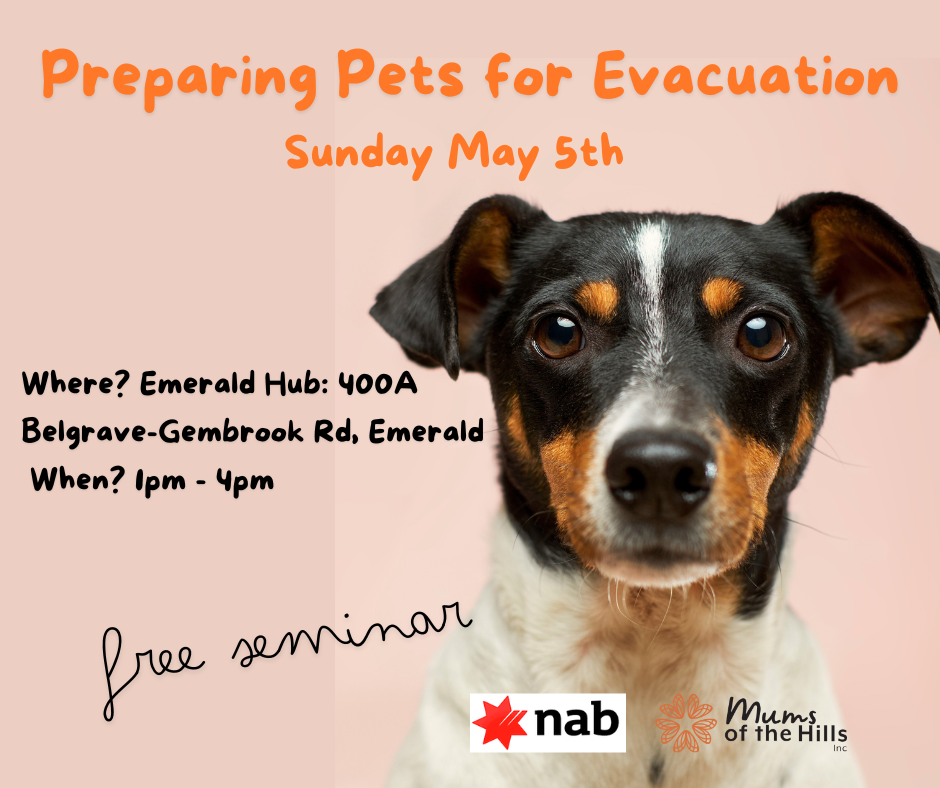 Sunday May 5th Emerald Hub 1pm (1).png