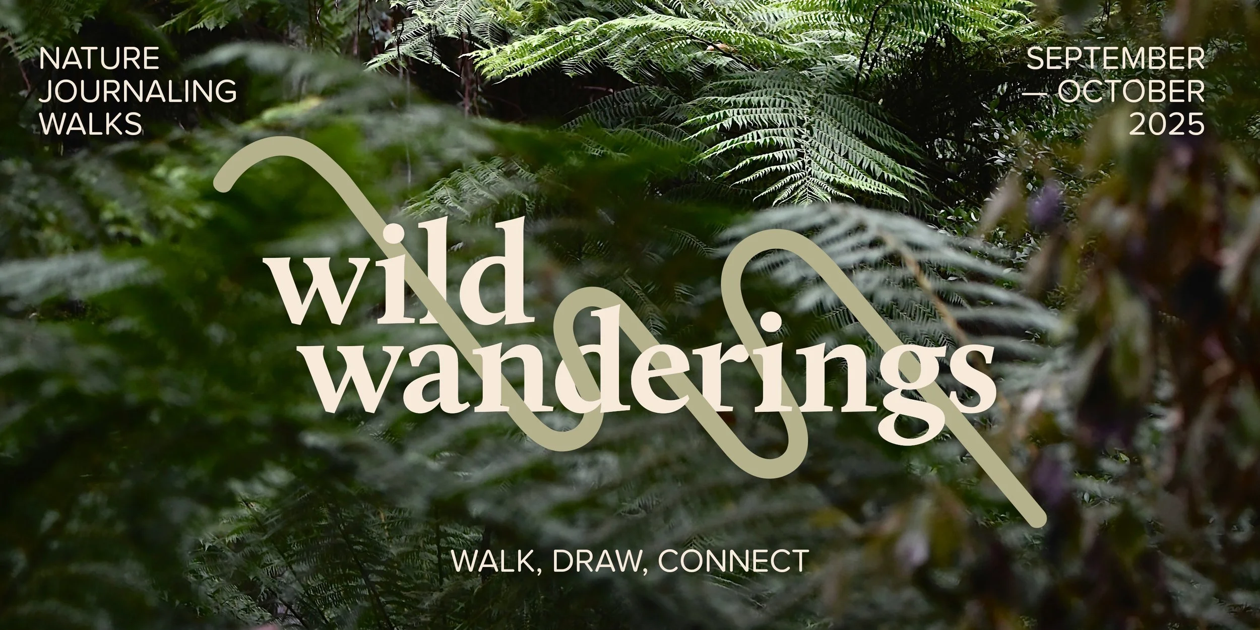 Wild Wanderings Walks
