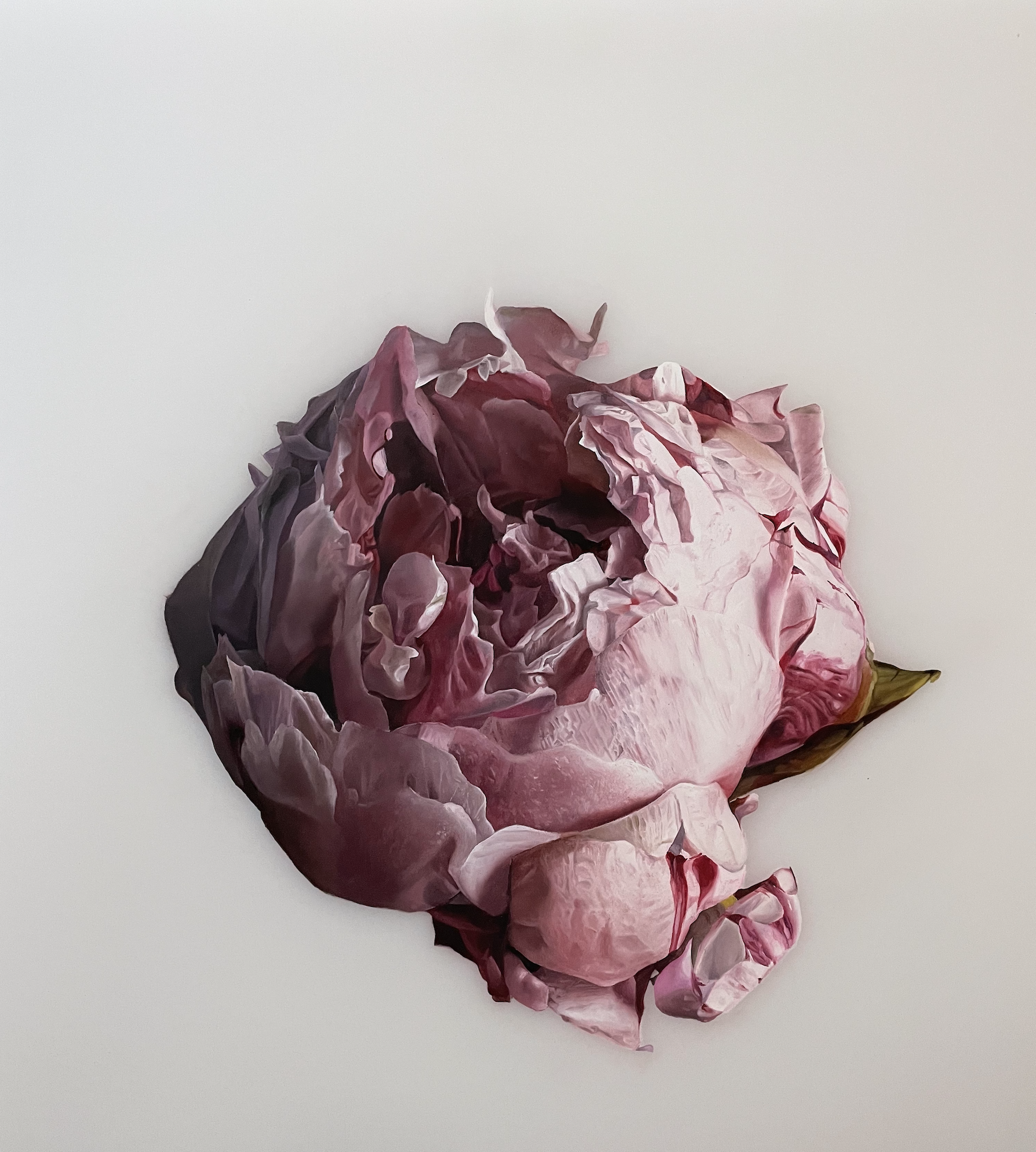 Screen Shot 2021-07-11 at 10.30.37 PM.png