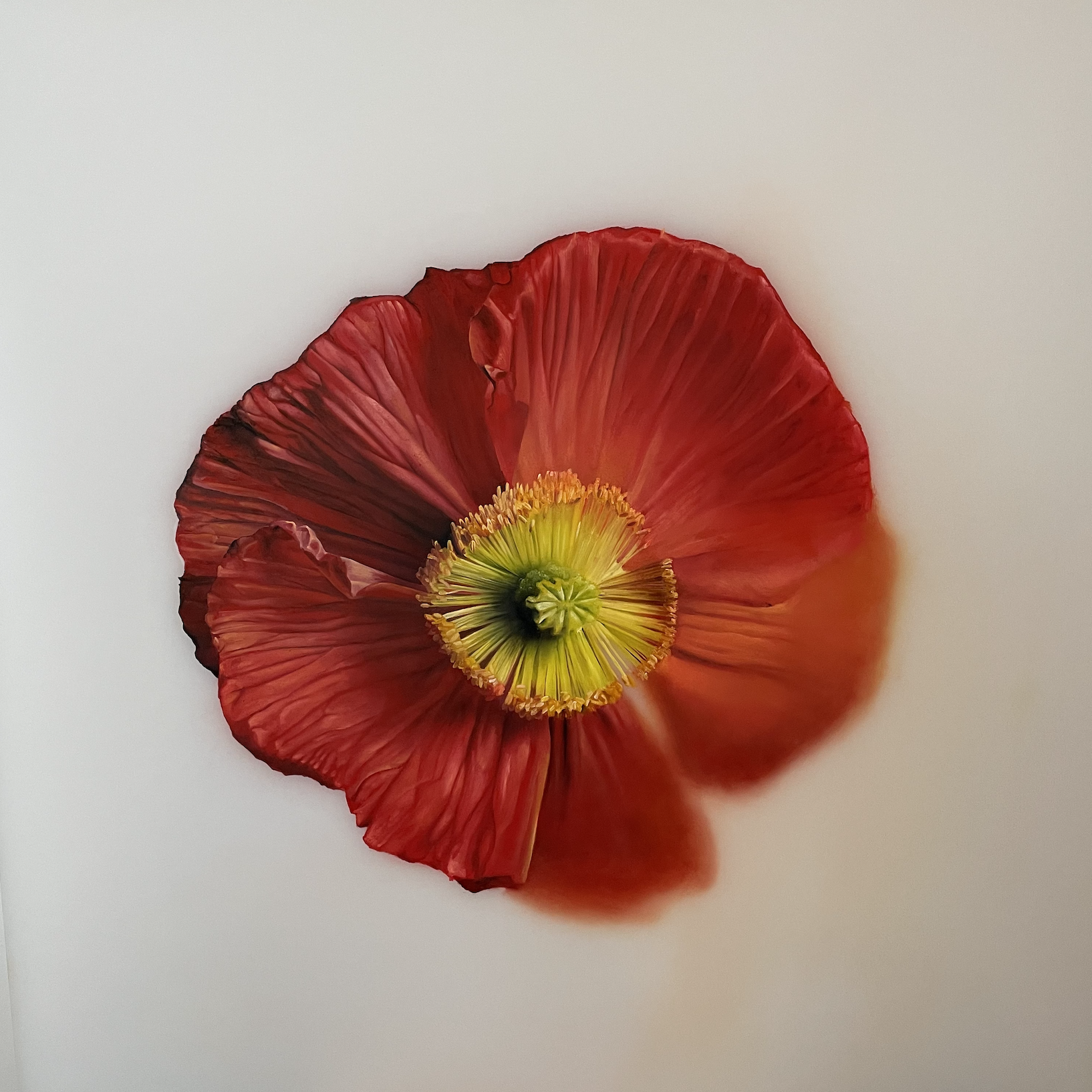 Screen Shot 2021-07-11 at 10.31.16 PM.png