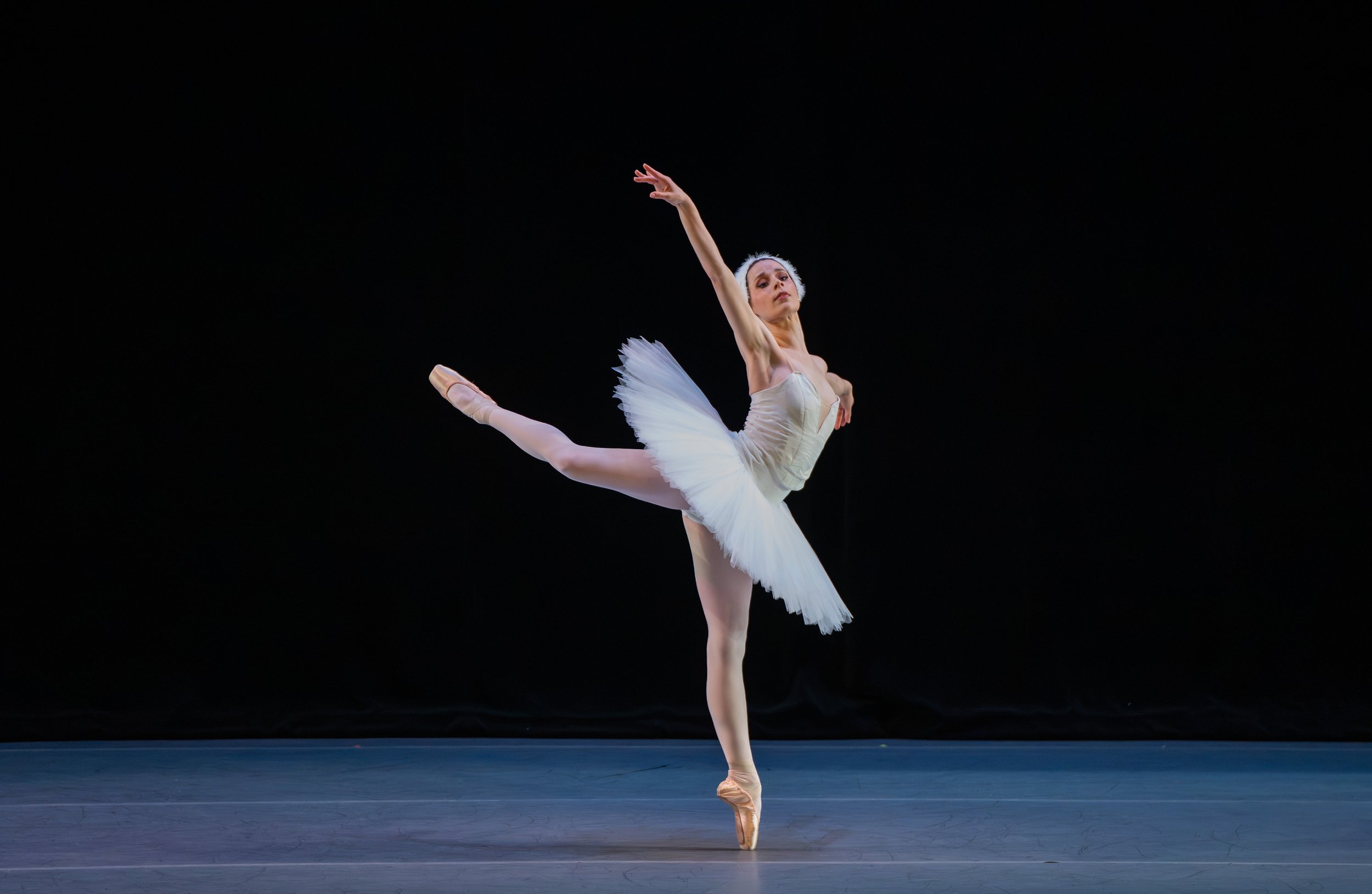 Avant Chamber Ballet