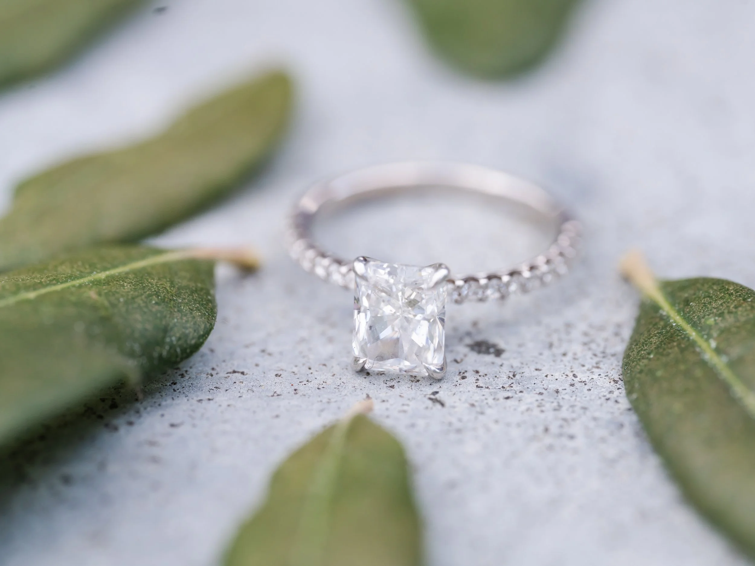 wedding ring creatively laid out with some leaves from a nearby tree.