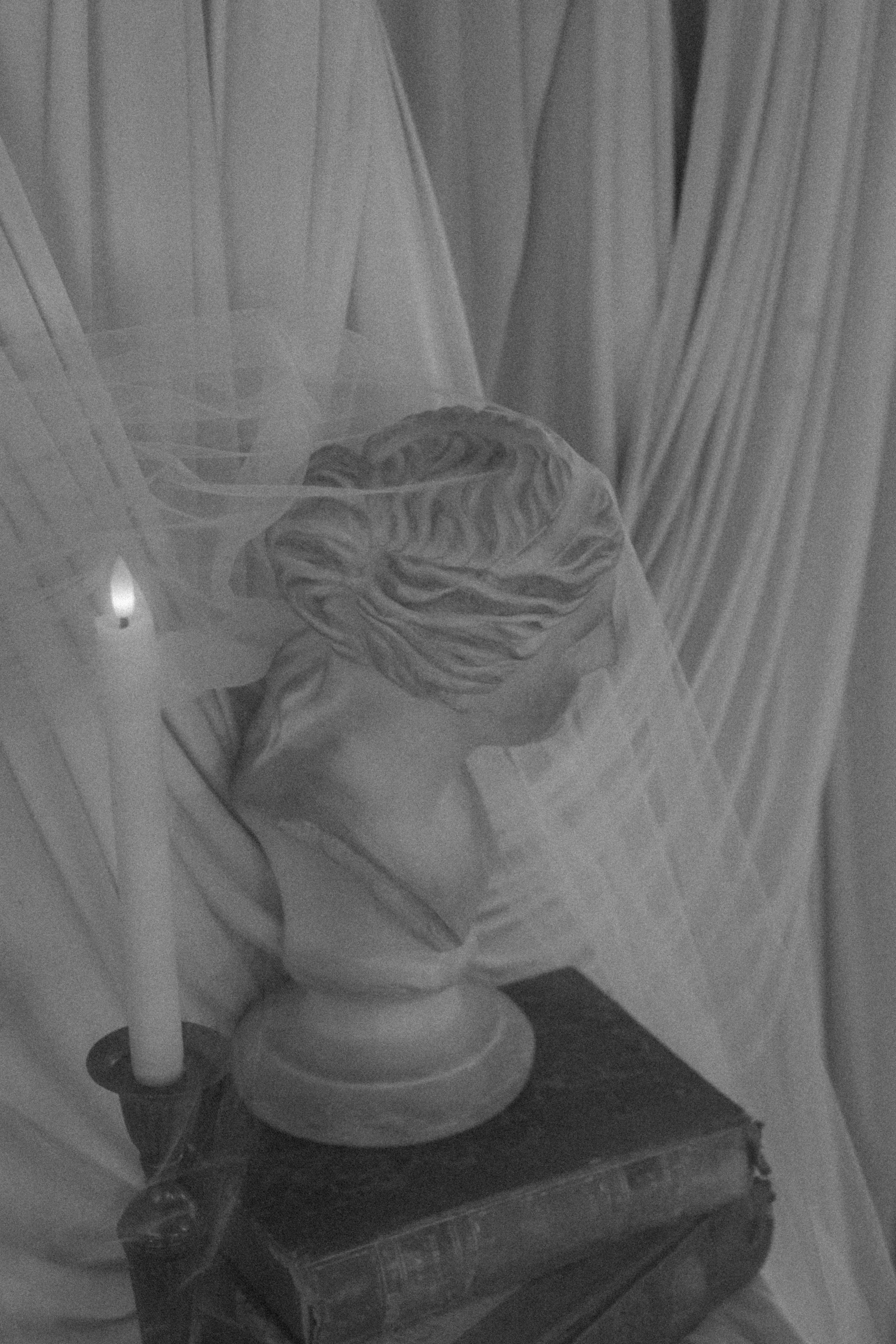 Black-and-white bridal portrait beneath a sheer veil.