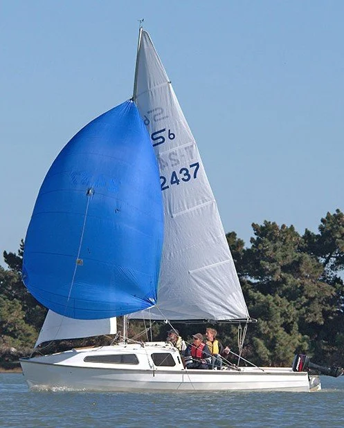 Snagglepuss spinnaker - sm.jpg