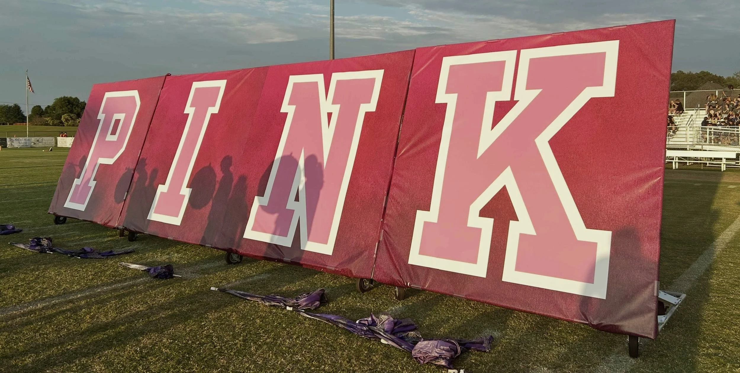 Dyer County HS 2024 Backdrops - "PINK"