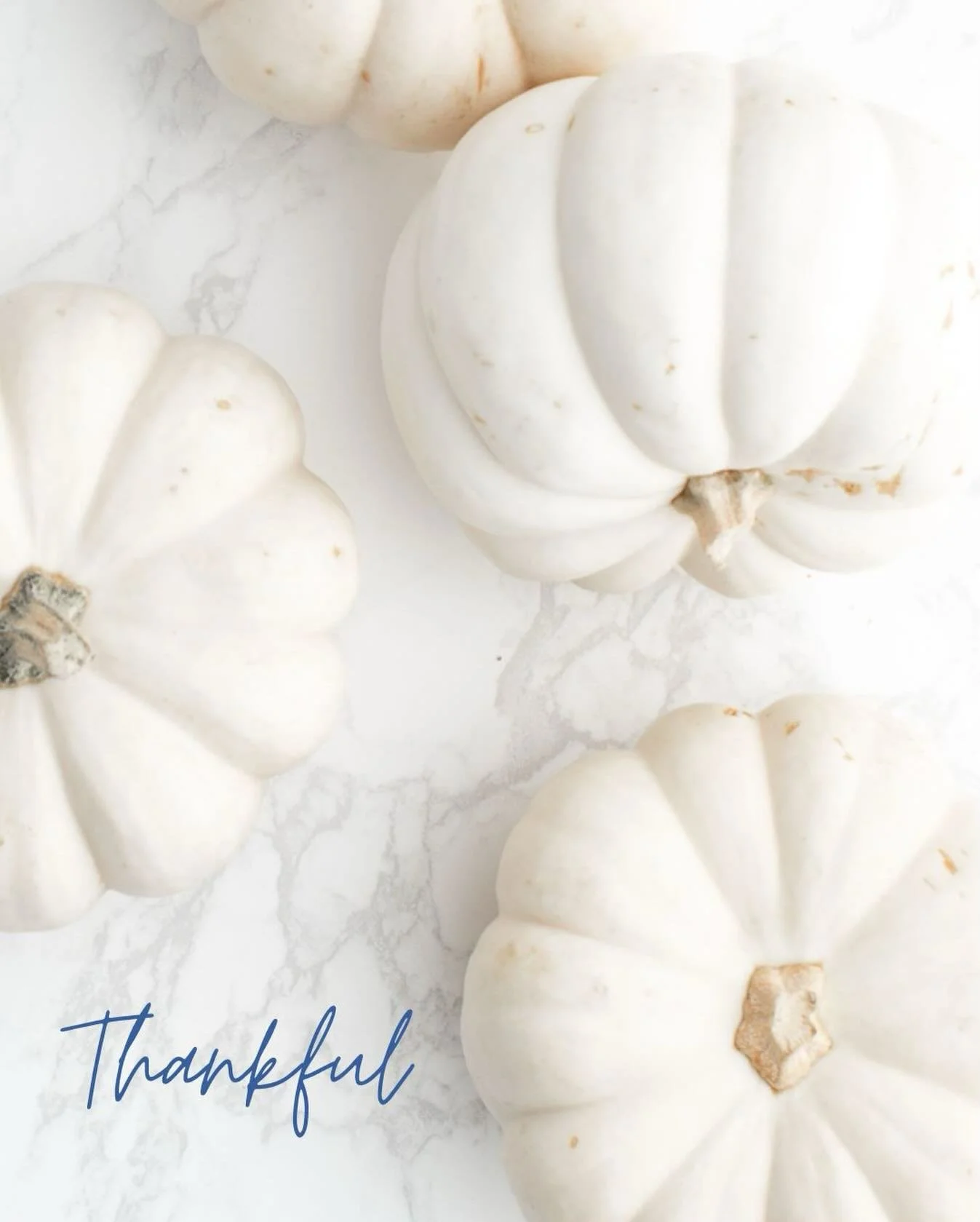 🍂 Thankful. Grateful. Inspired.

It's the season to take a moment and pause and reflect on what we&rsquo;re truly thankful for.

We are deeply thankful to all our clients across so many countries who trust us to bring their spa and wellness visions 
