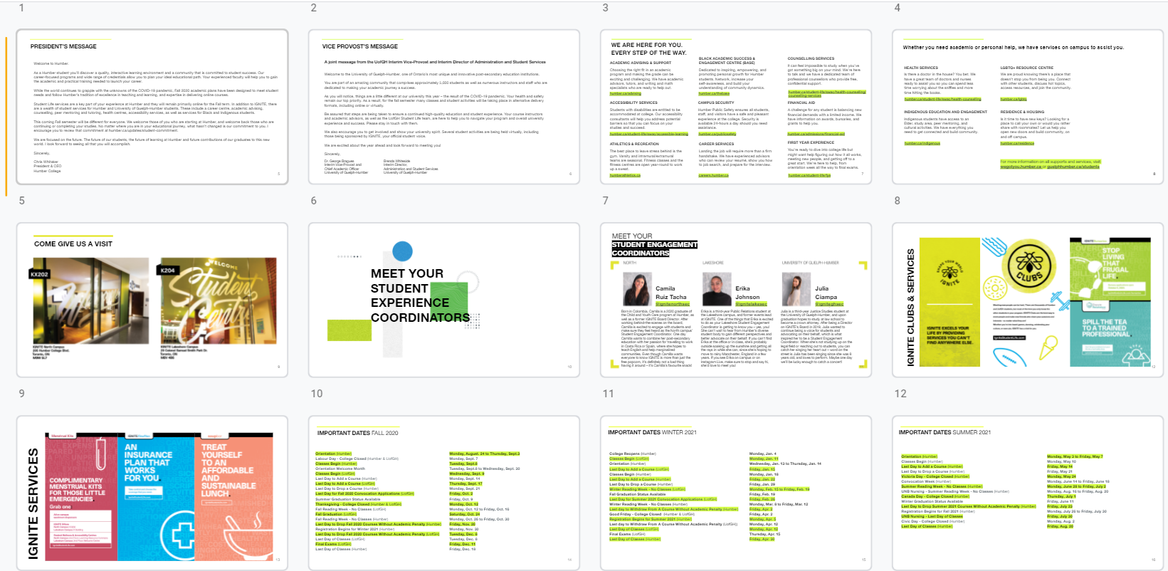 Grid layout of Google slides snapshot showing various slides with images and text. Not meant to be legible, used as a layout example.
