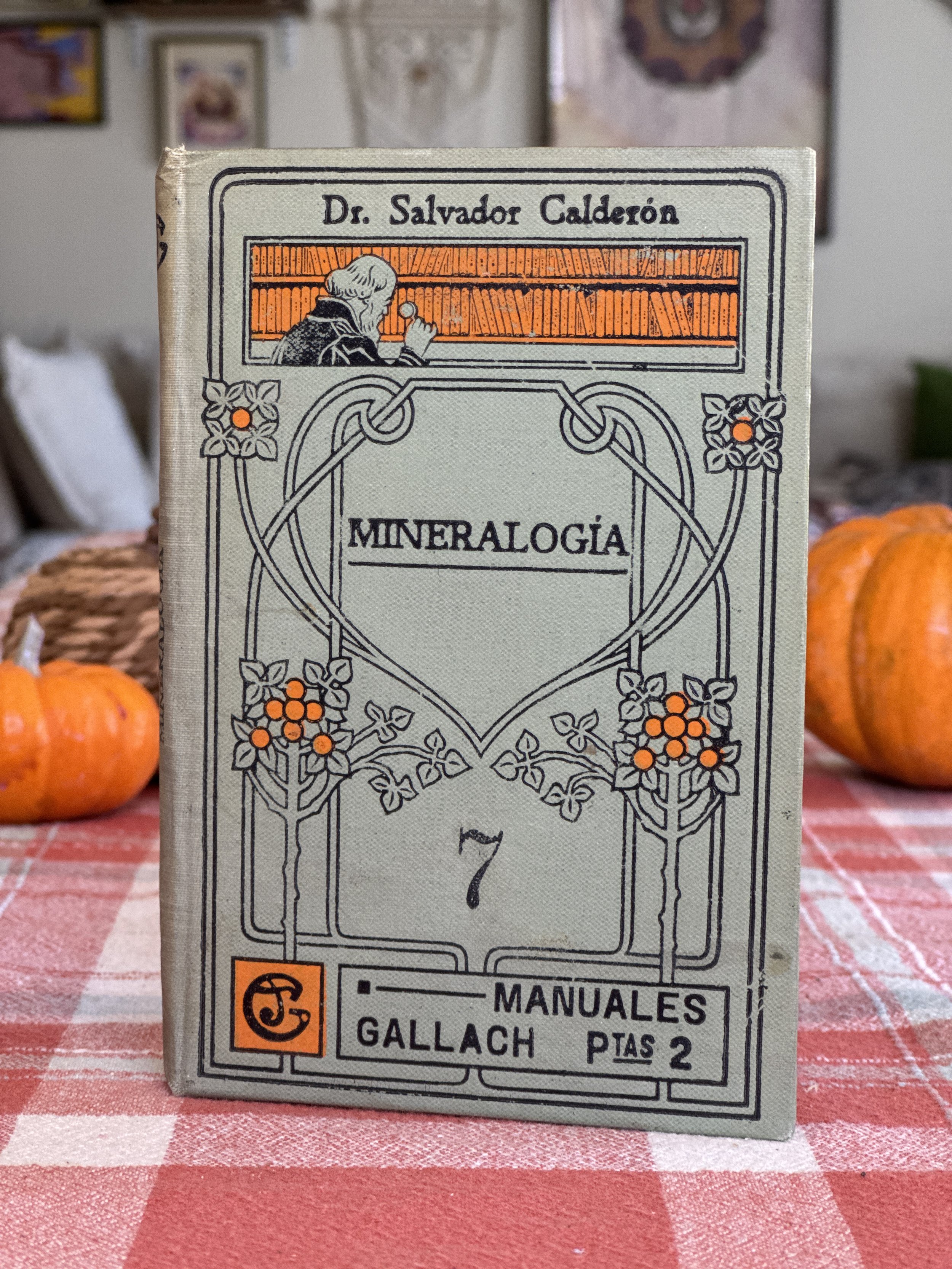 Mineralogía — Dr. Salvador Calderón | Antique Illustrated Spanish Science Book