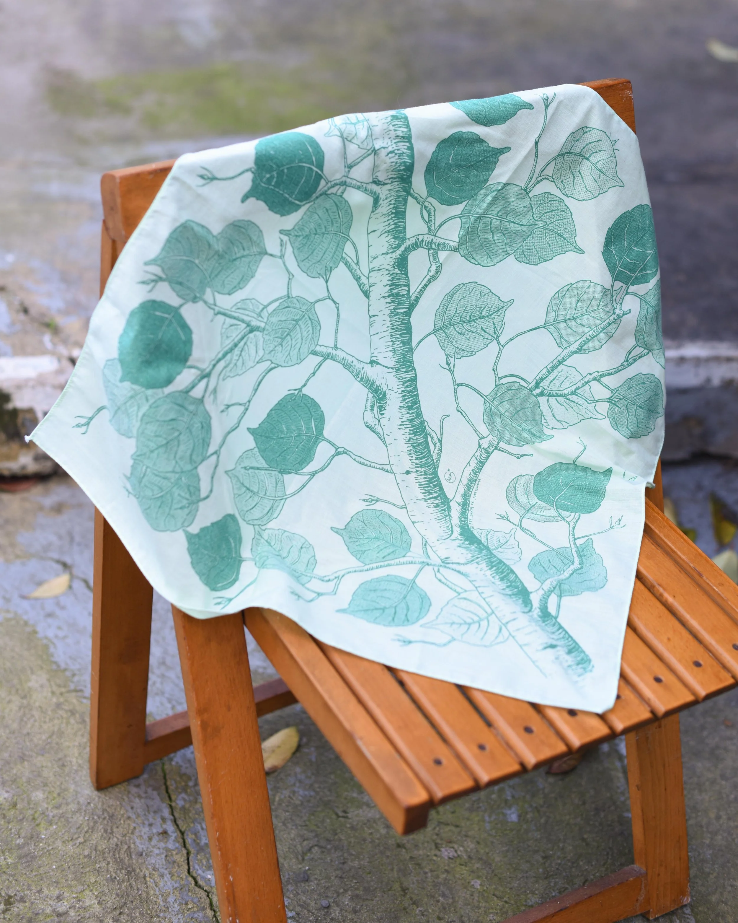 Aspen Tree Cotton Headscarf