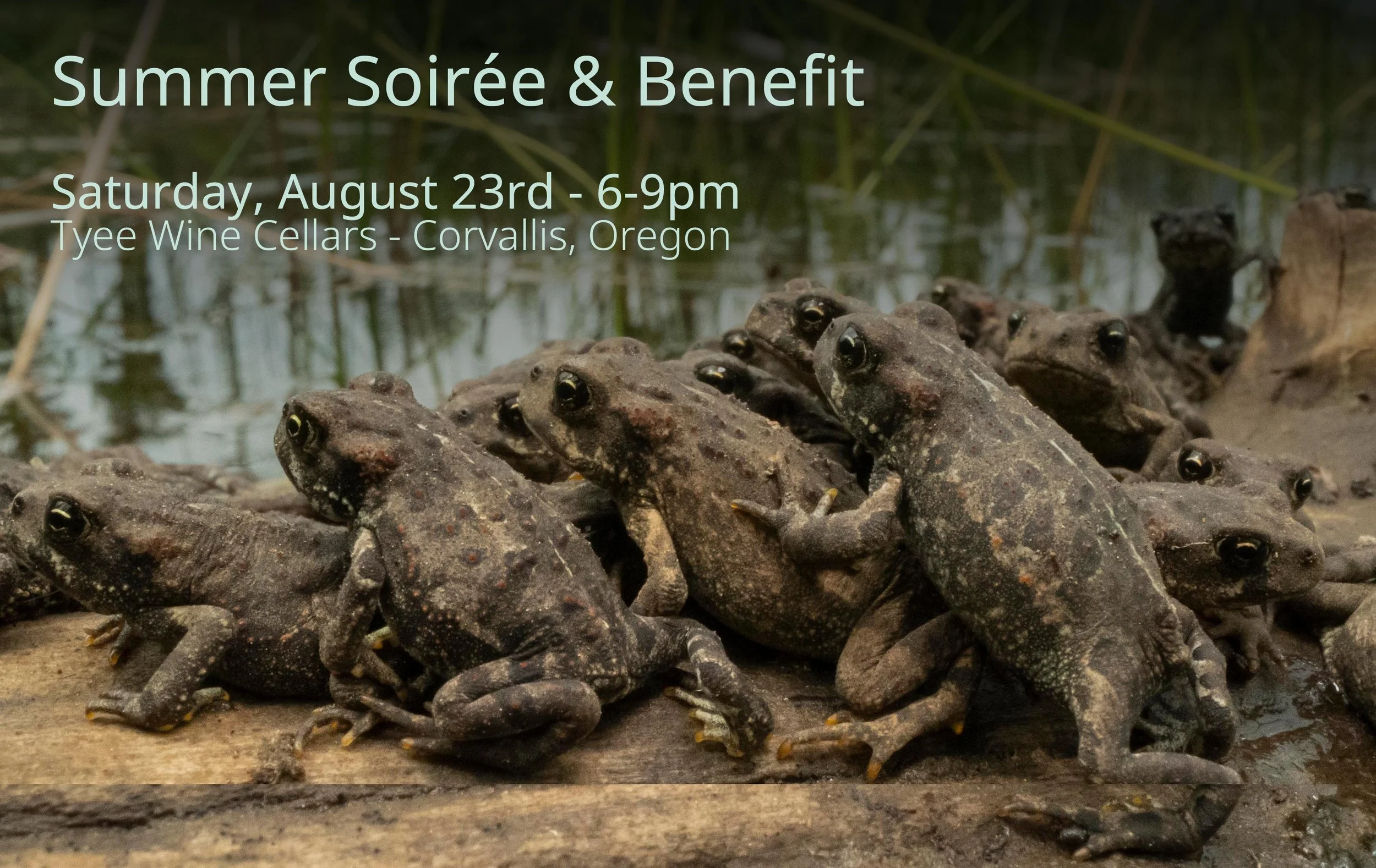 Summer Soirée & Benefit - Corvallis 2025