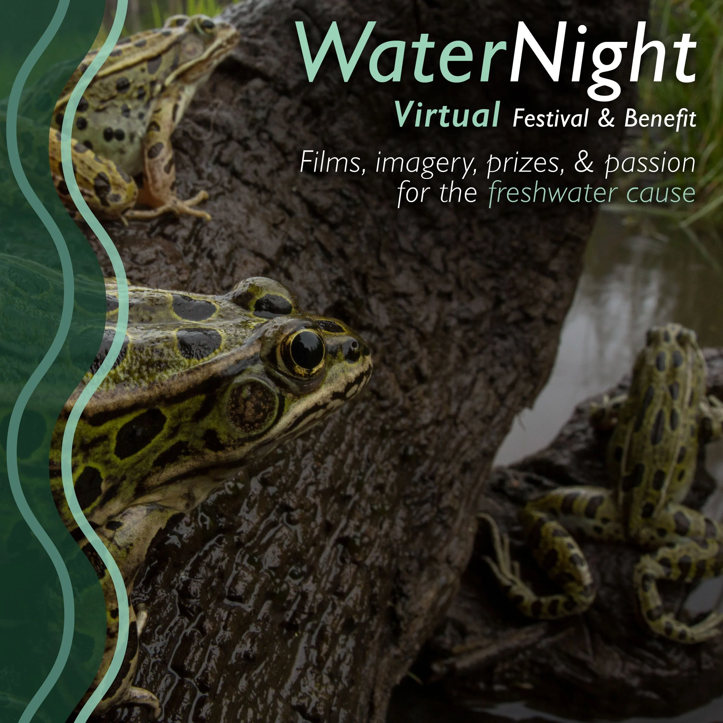 WaterNight Virtual 2026