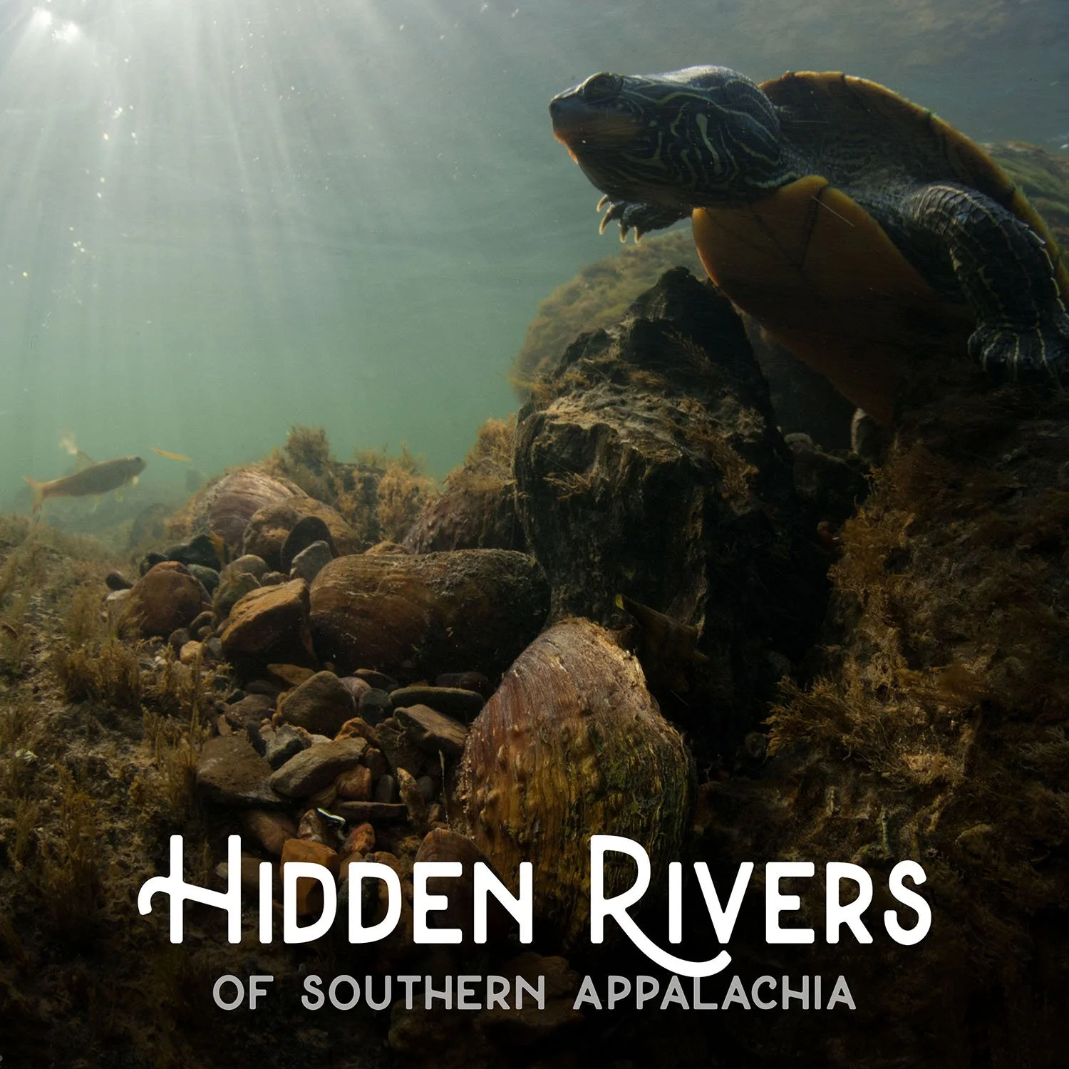 Hidden Rivers - Townsend, TN (Time TBD)