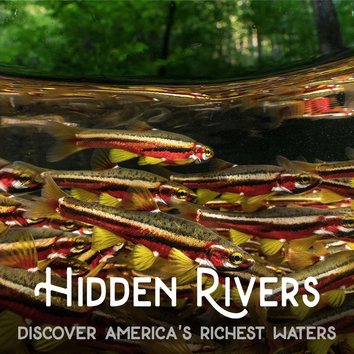 Hidden Rivers - Waynesboro, VA
