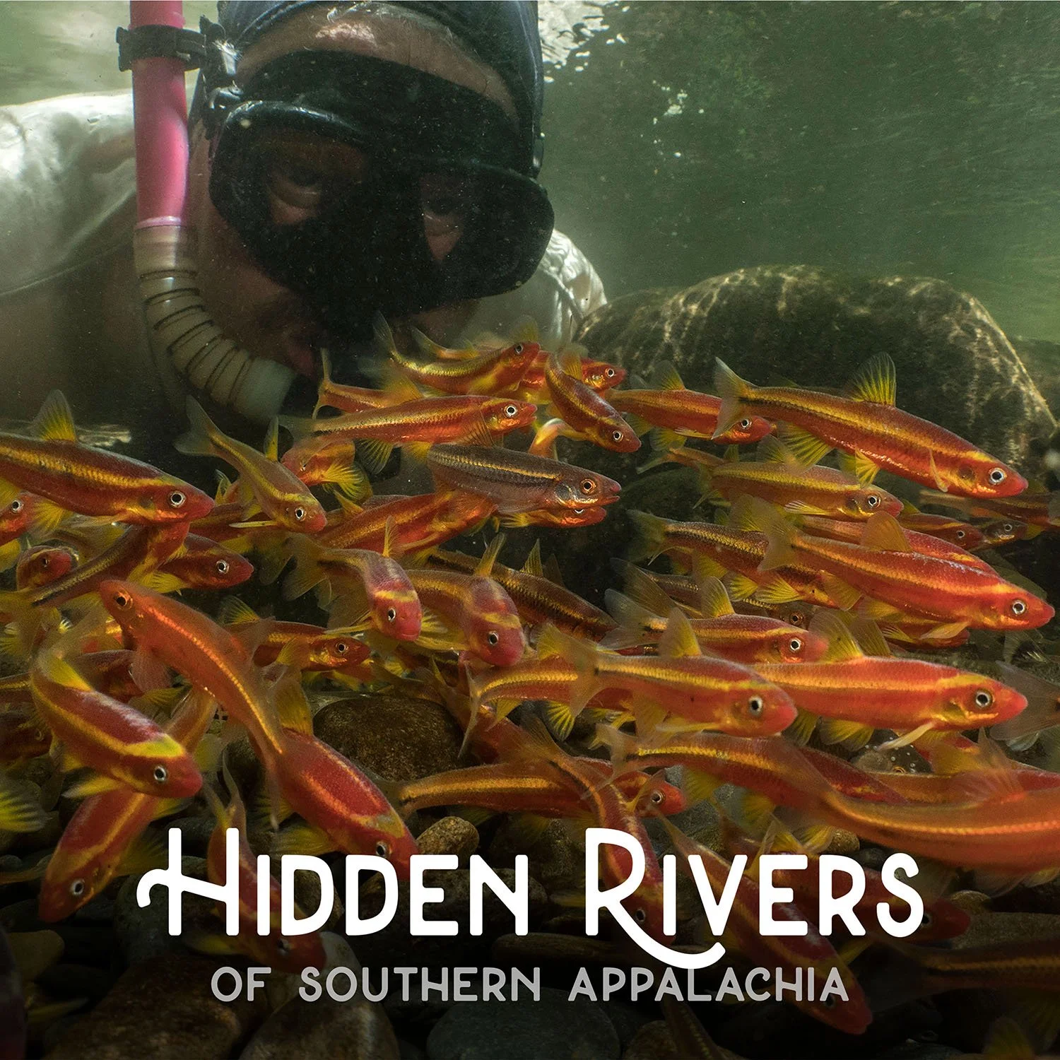 Hidden Rivers - Dahlonega, GA