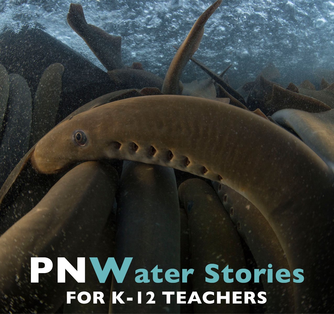 PNWater Stories for K-12 Teachers