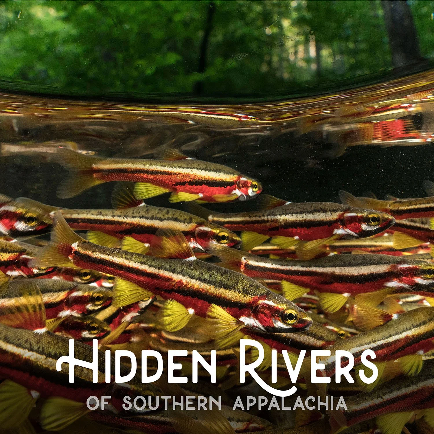 Hidden Rivers - Spring City, TN (Time TBD)