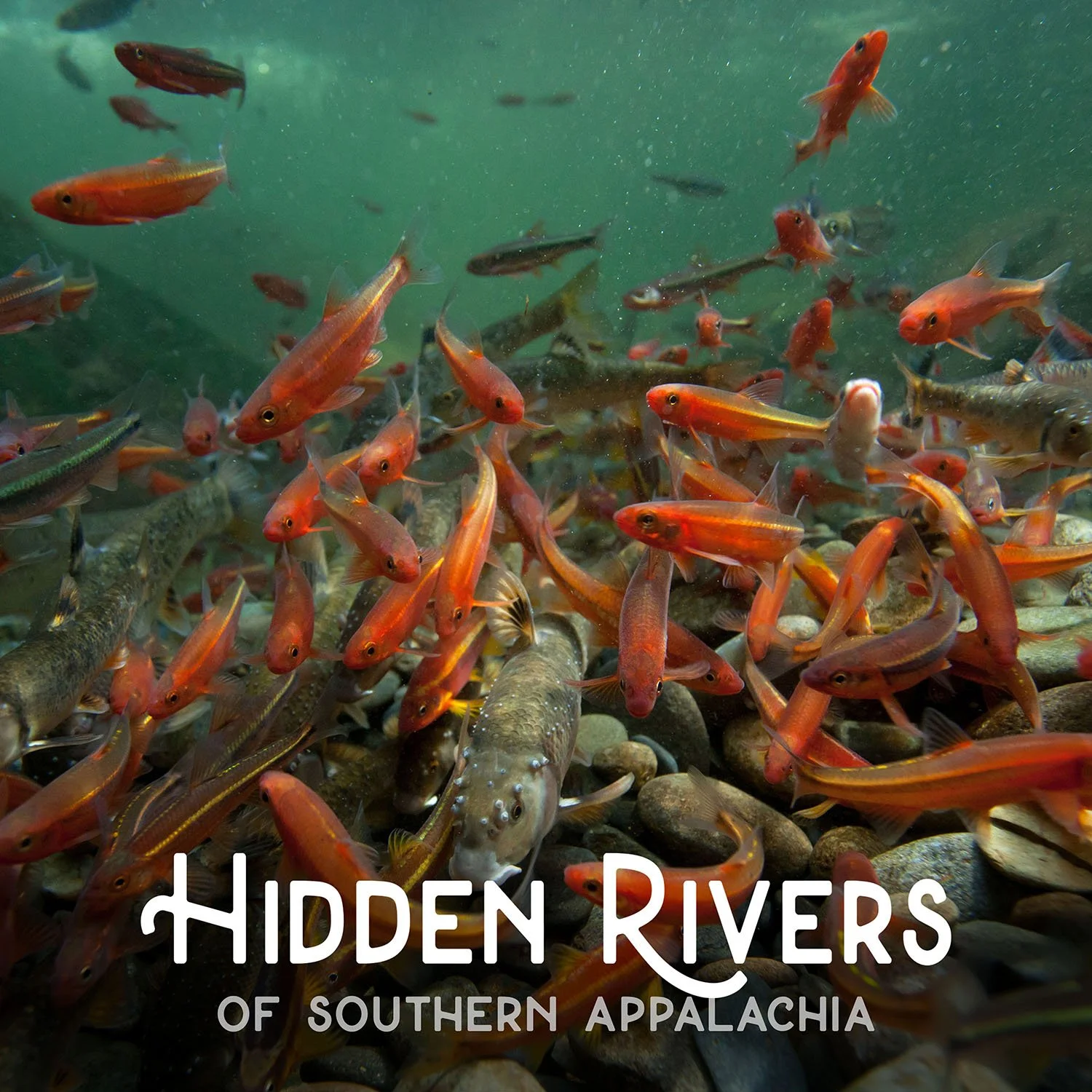 Hidden Rivers - Maggie Valley, NC (Time TBD)