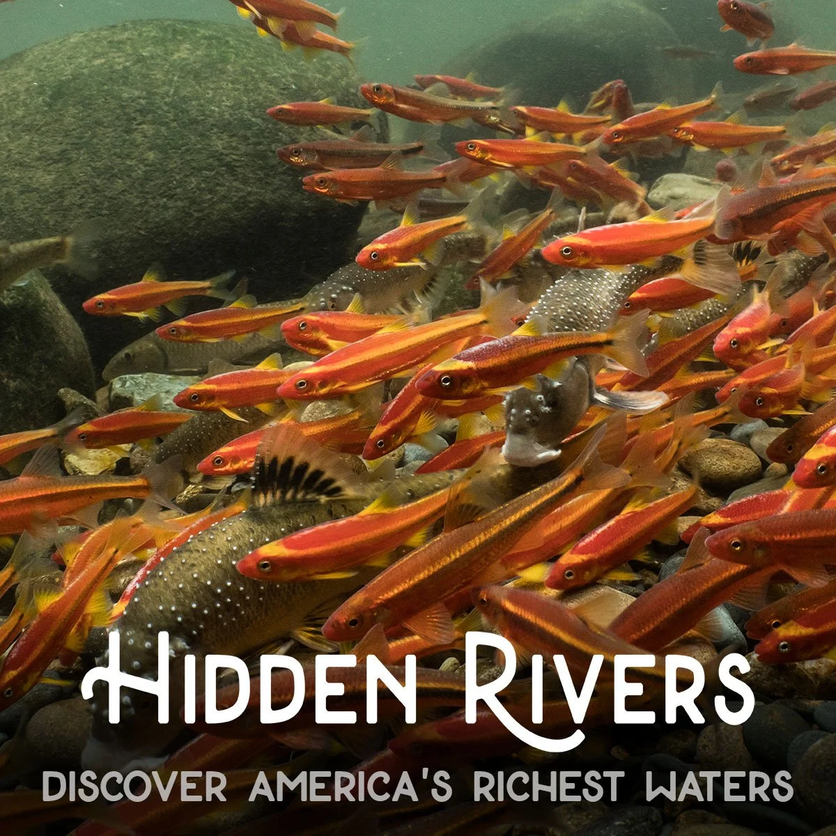 Hidden Rivers - University of North Alabama