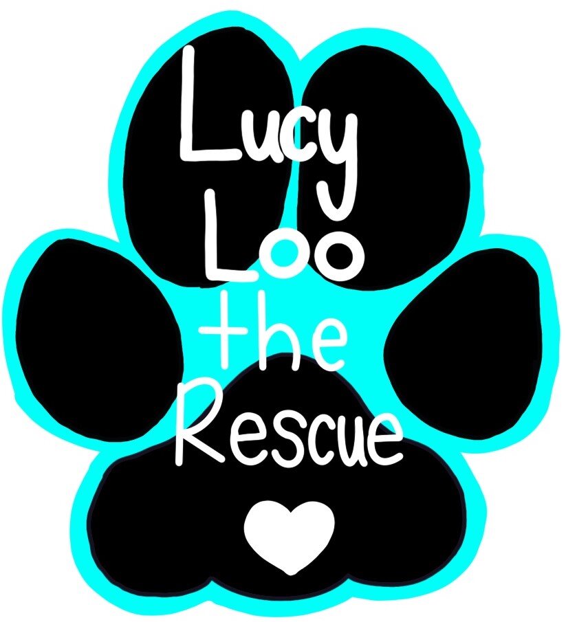 Lucy Loo the Rescue