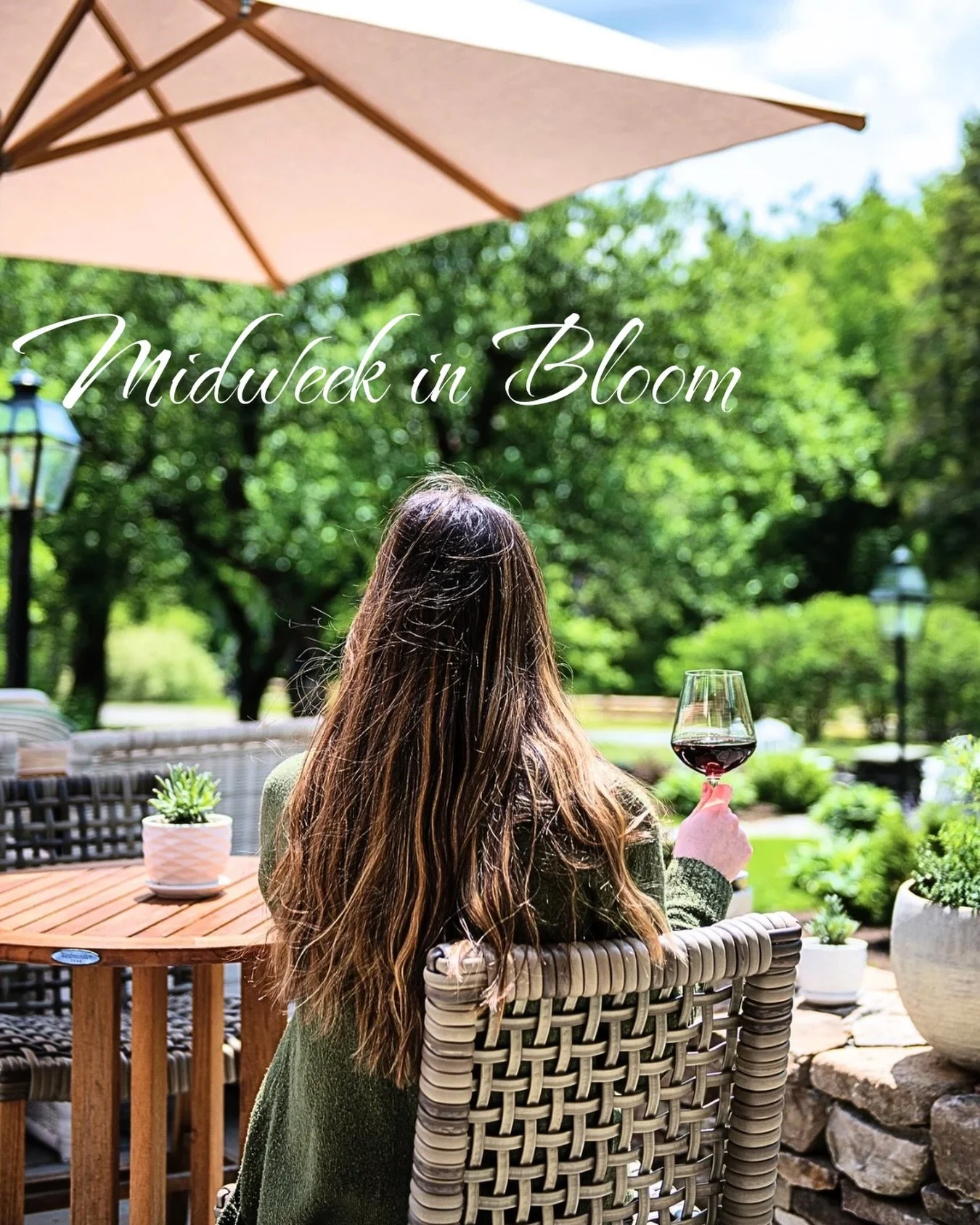 Just beyond the noise of everyday life, summer waits quietly here.

A glass of wine , mountain air and nowhere else to be.

Midweek in Bloom at The Hermitage Inn. Now welcoming summer stays.

#boutiqueinn #summerinvermont #luxurytravel #visitvermont 