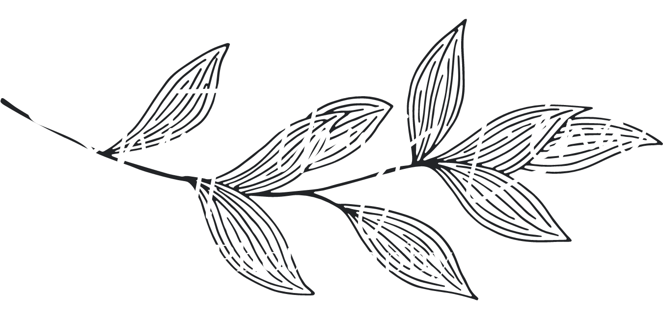 Shutterbug Lena Photography