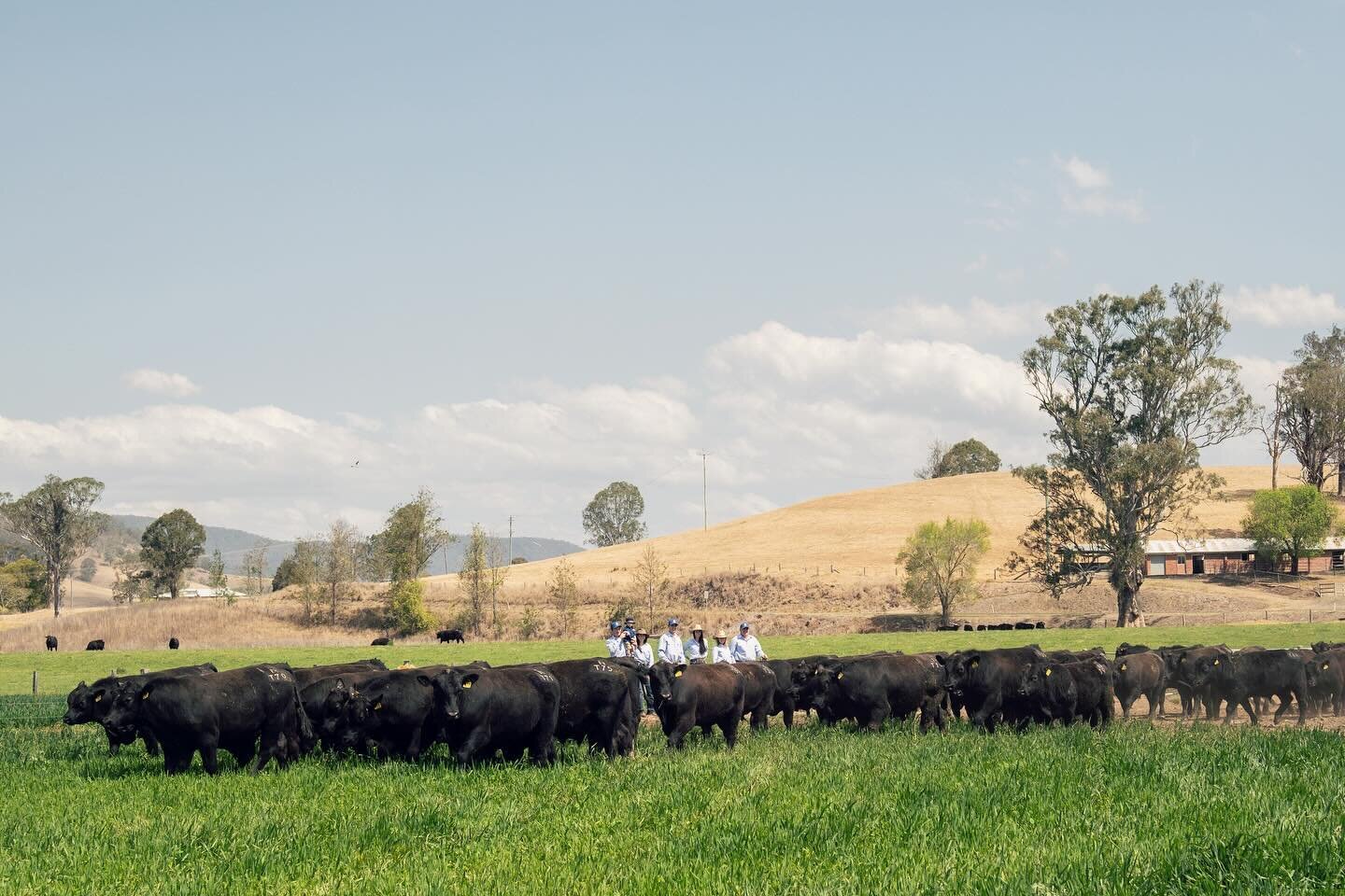 What is your favourite part of Thursdays ! 
Ours is the latest addition of the @thelandnews 

Mackas are super excited about our latest announcement.

&ldquo;It&rsquo;s exciting for the world of agriculture that we can work together to achieve the sa