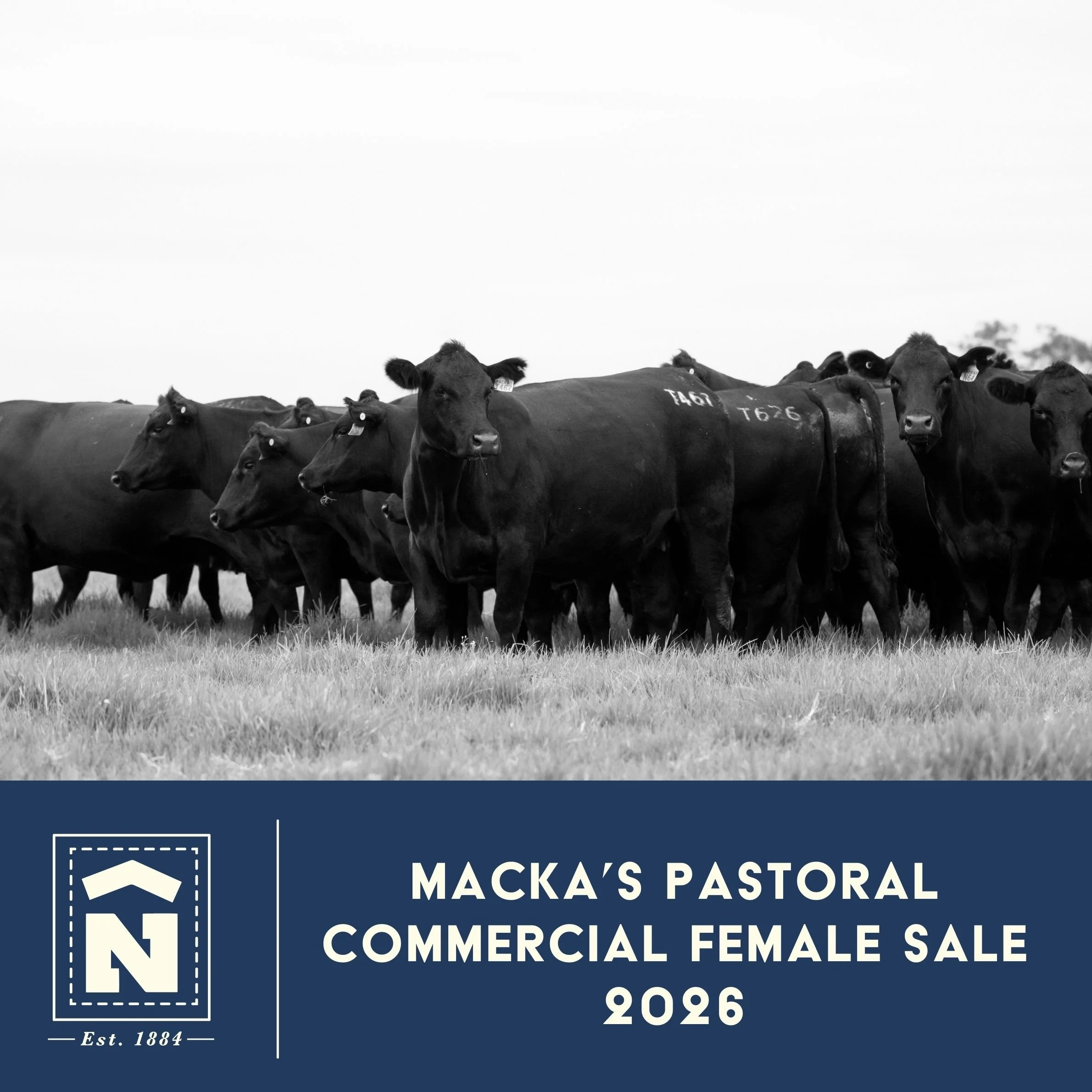 Years of genetic progress