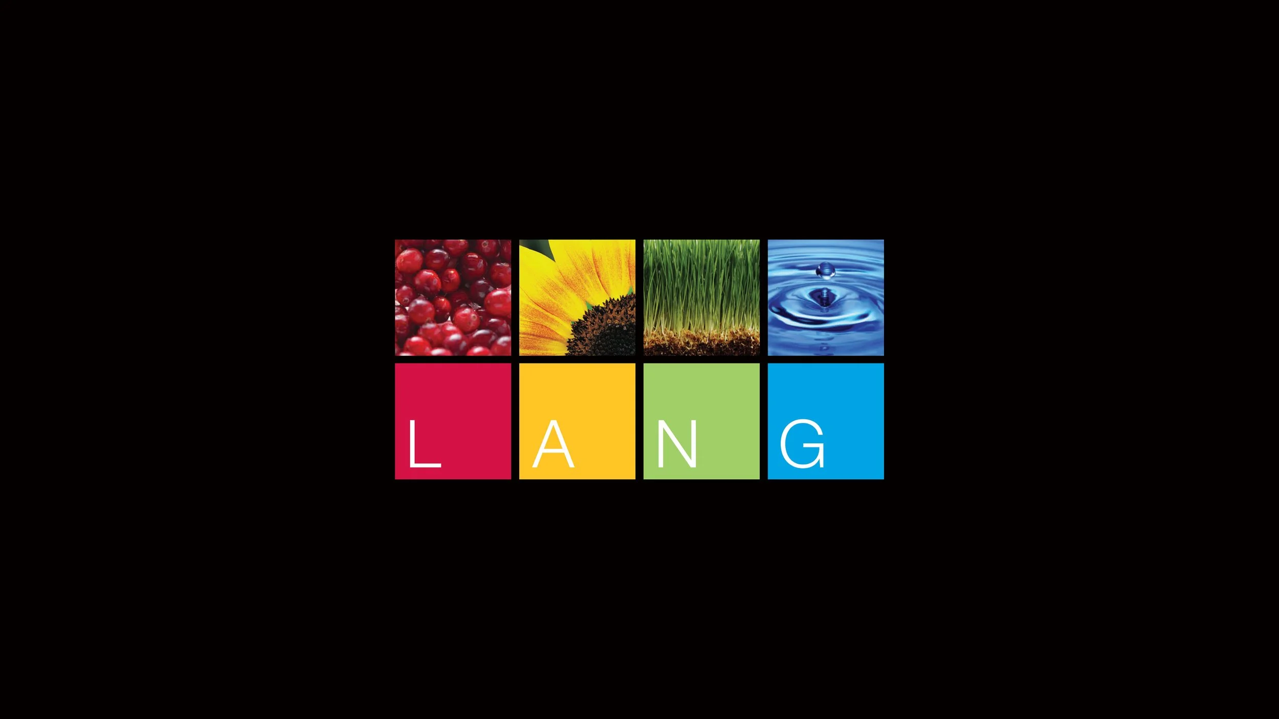 lang.jpg