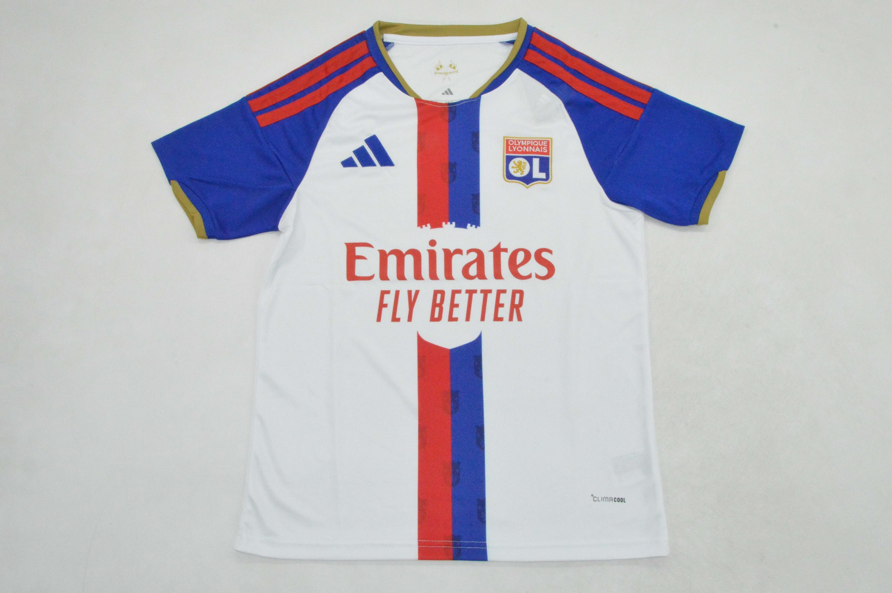 IMG_1310.PNG