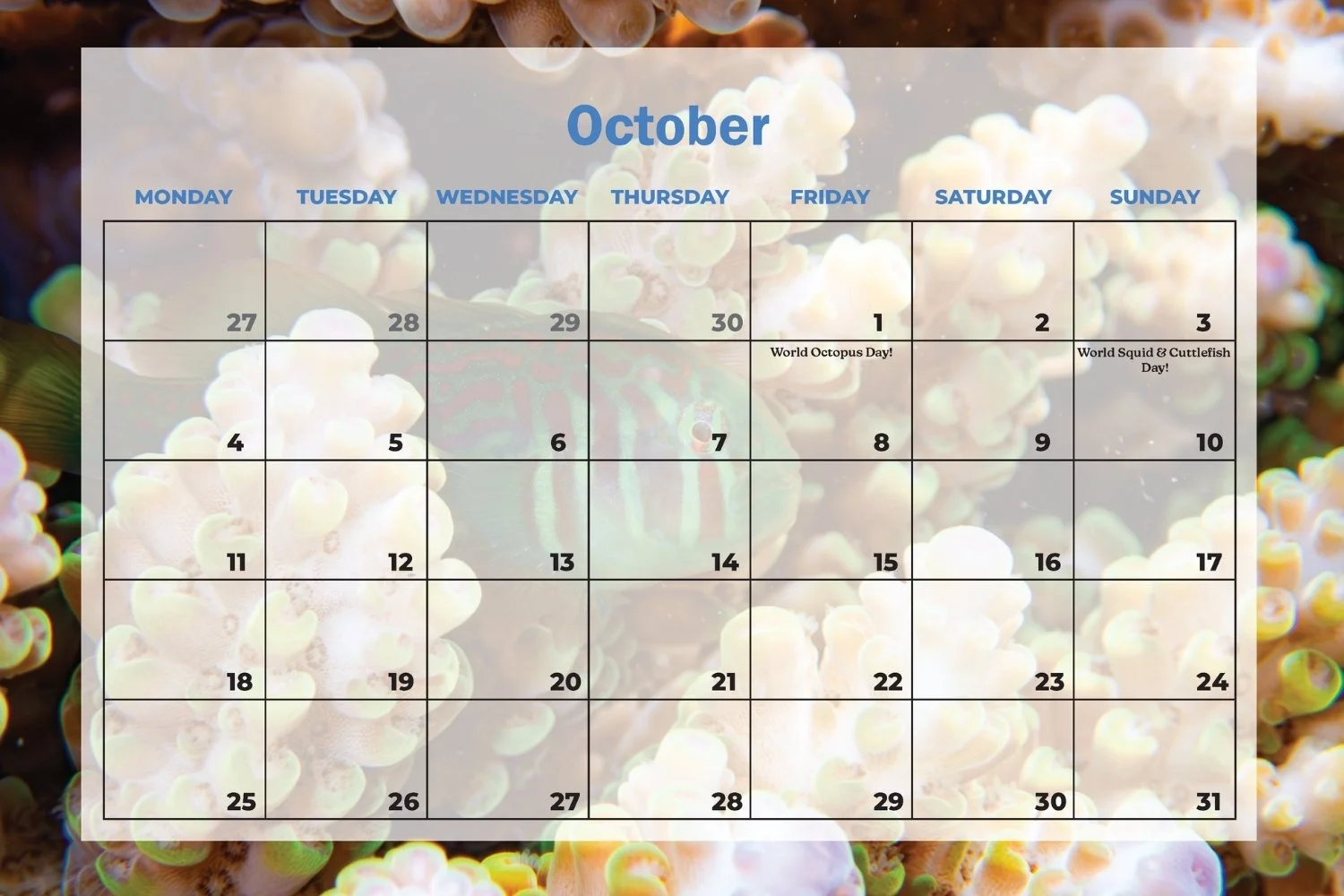 SDU 2027 Calendar (21).jpg
