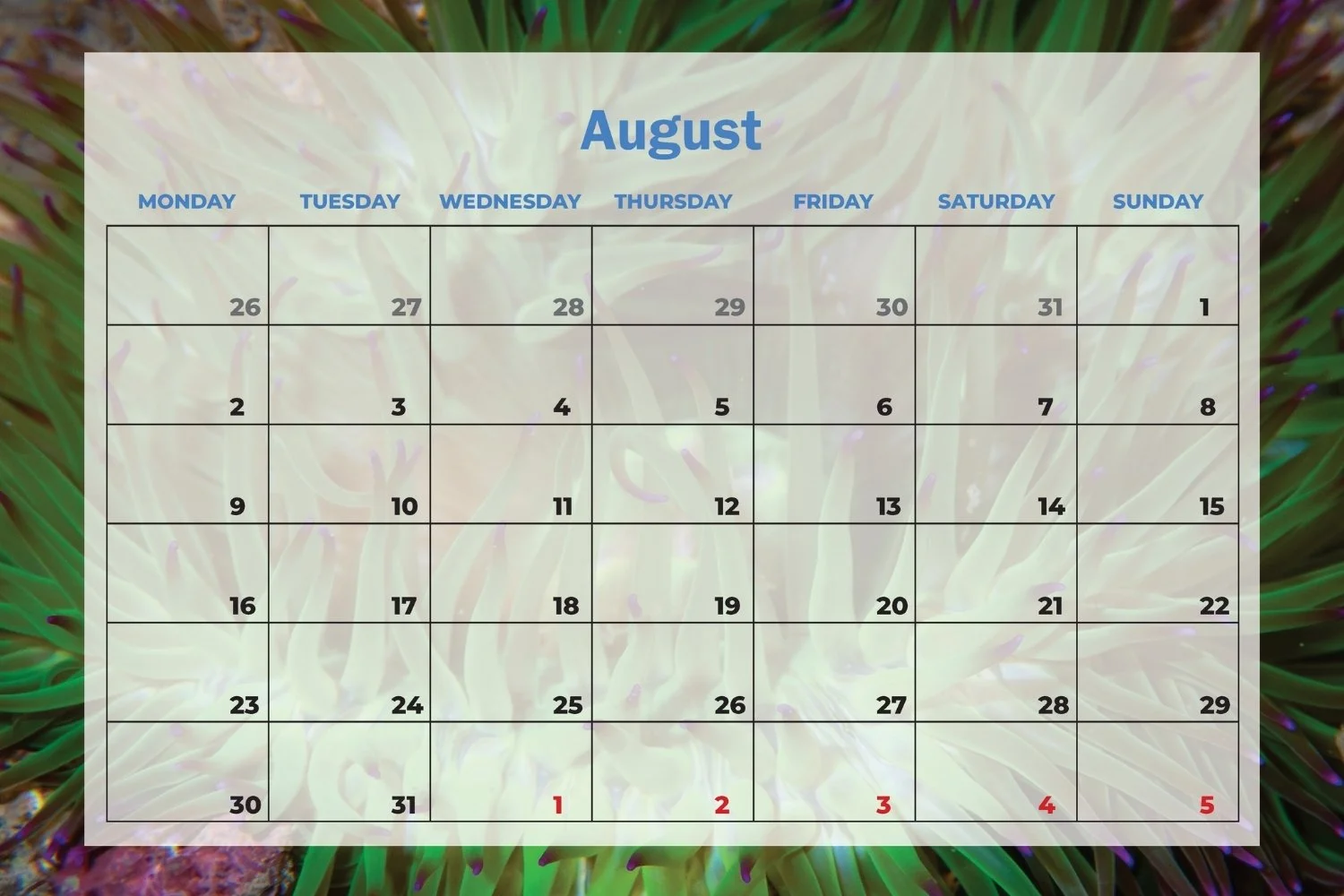SDU 2027 Calendar (17).jpg
