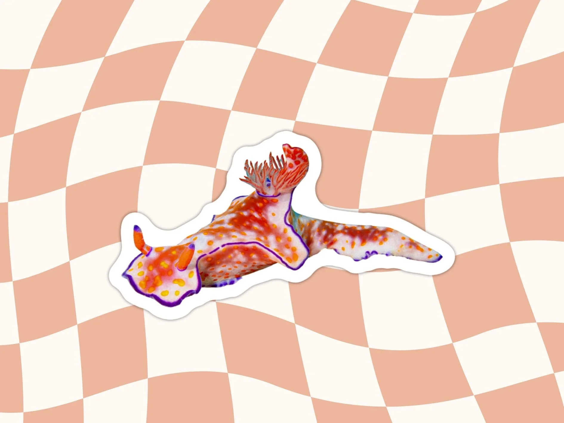 SDU Sticker Ceratosoma trilobatum Nudibranch.jpg