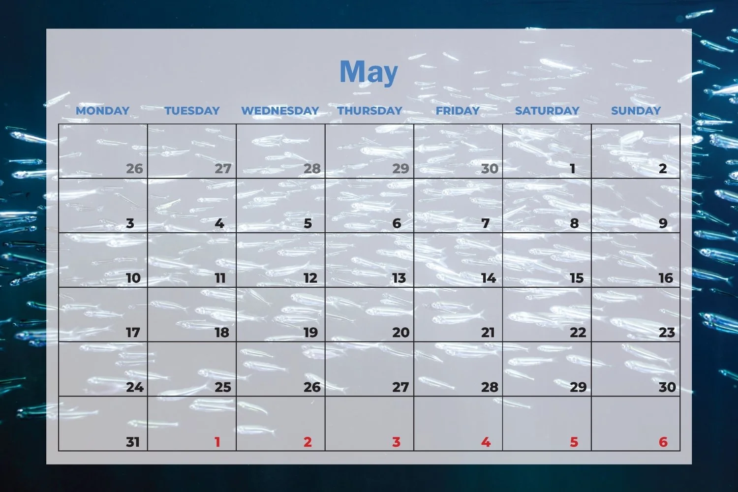 SDU 2027 Calendar (11).jpg