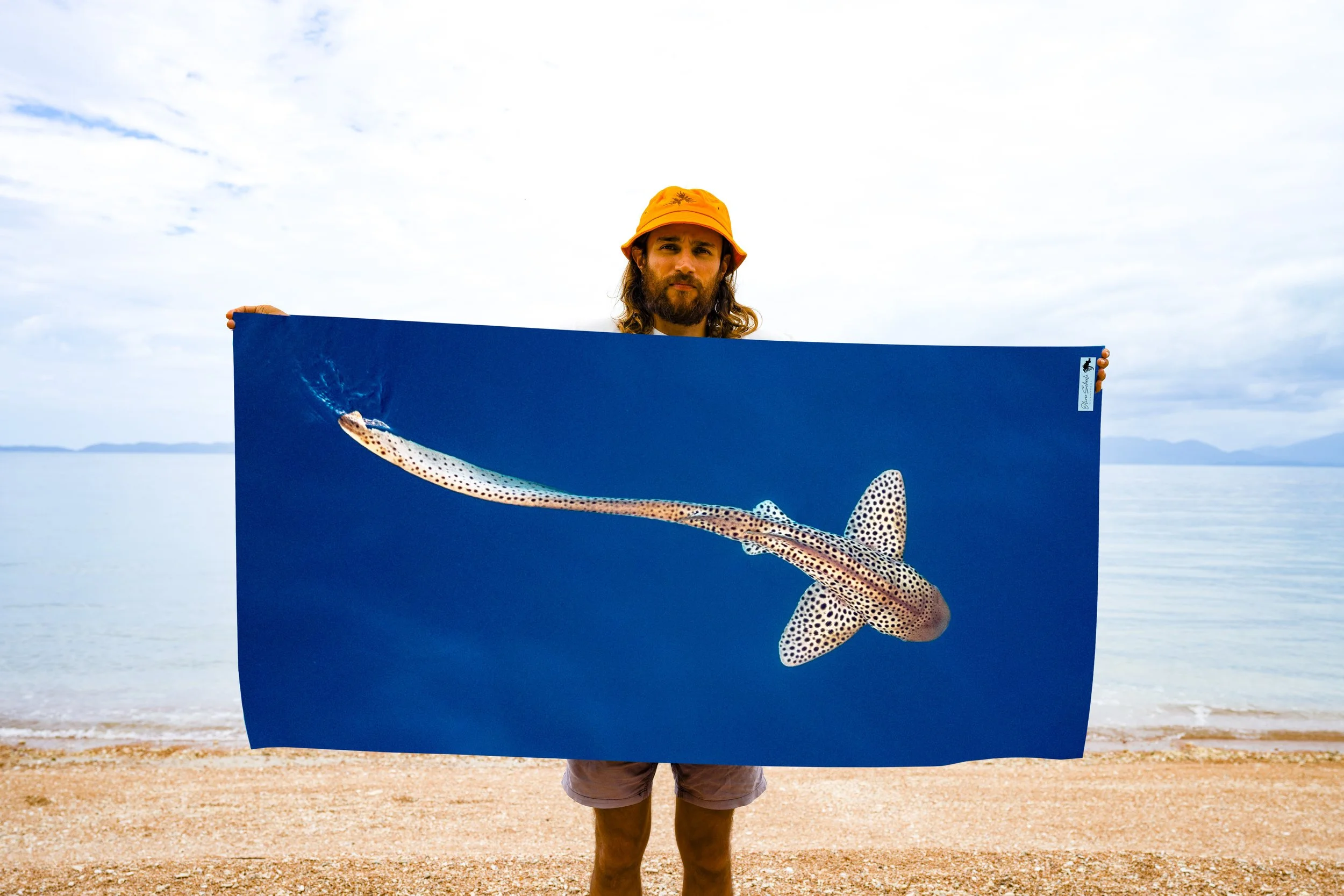 V1. BLUE RAY-Recovered.jpg