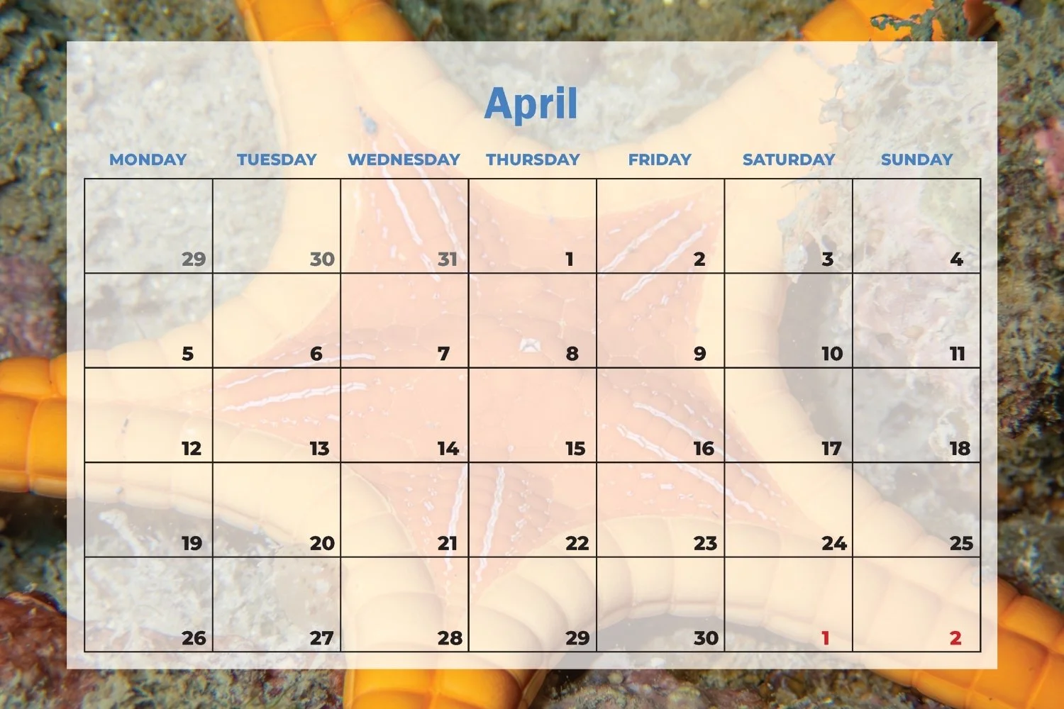 SDU 2027 Calendar (9).jpg