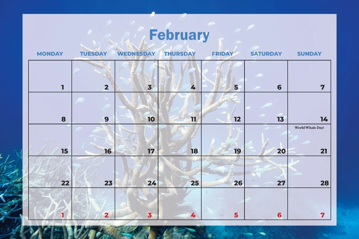 SDU 2027 Calendar (5).jpg